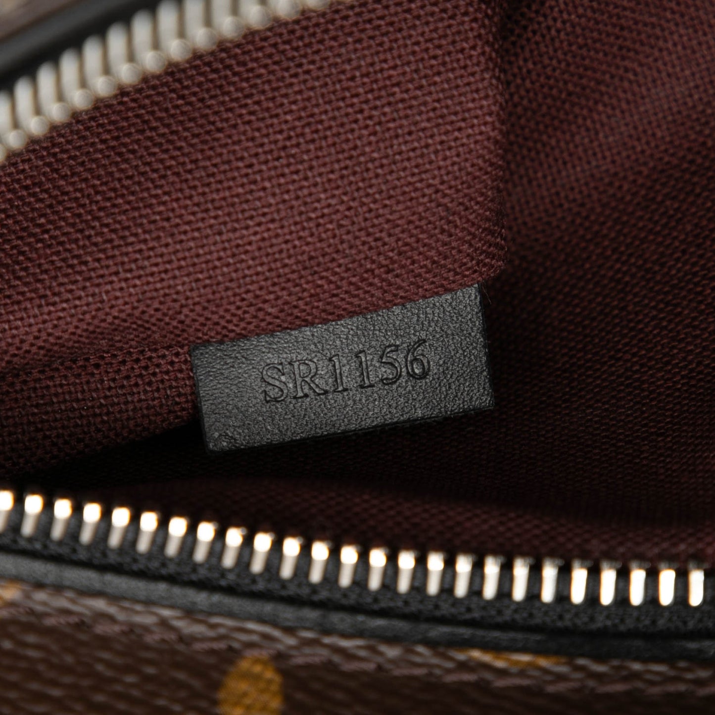 Louis Vuitton Monogram Macassar Palk Backpack