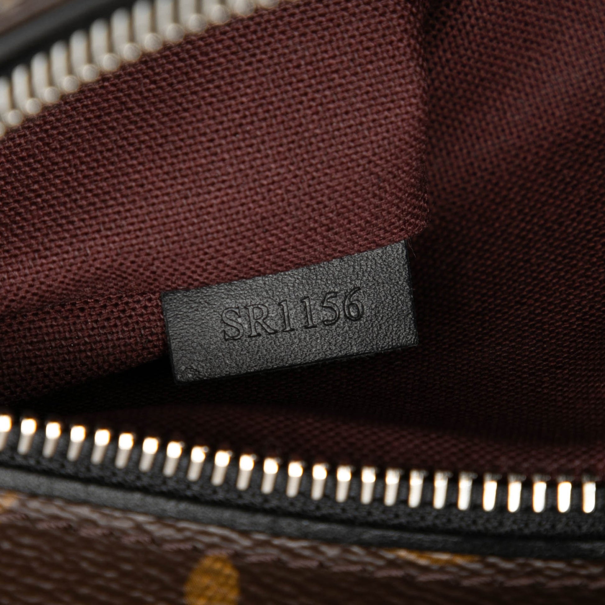 Louis Vuitton Monogram Macassar Palk Backpack