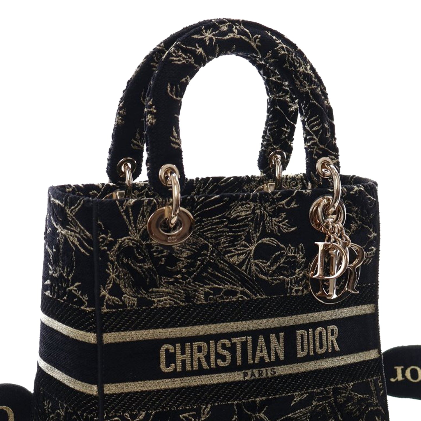 Dior Medium Embroidered Canvas Toile de Jouy Lady D Lite