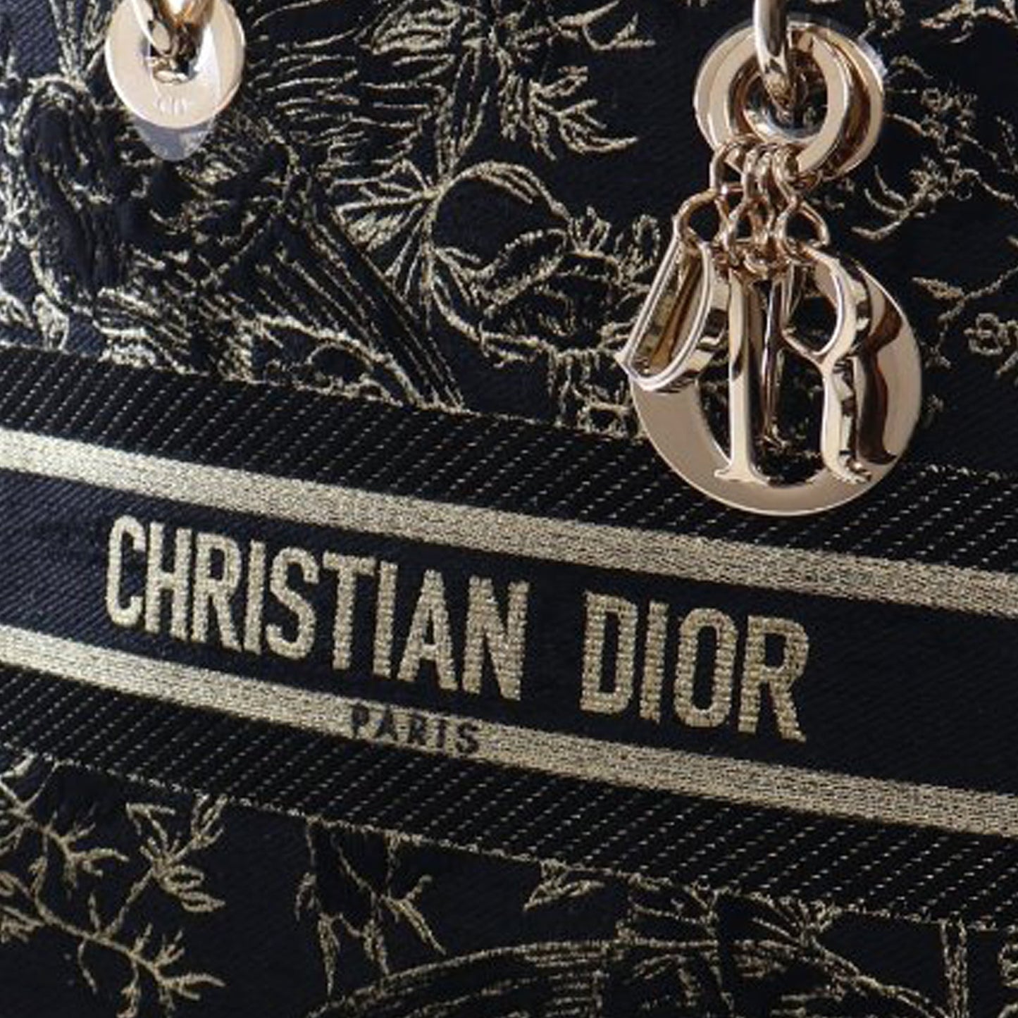 Dior Medium Embroidered Canvas Toile de Jouy Lady D Lite