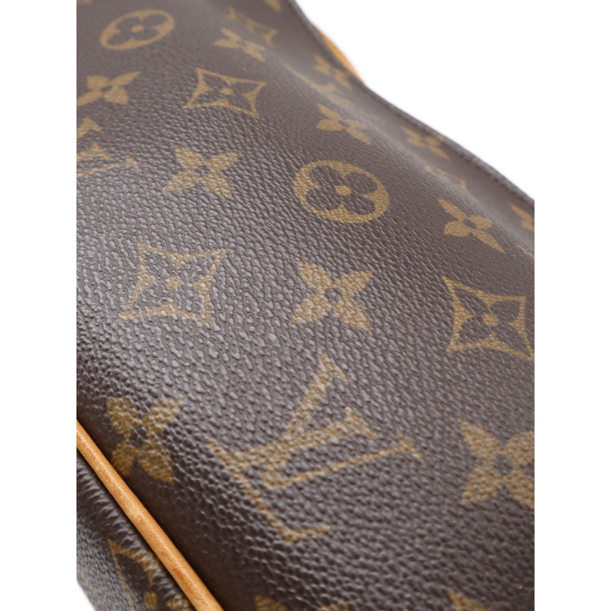 Louis Vuitton Monogram Viva Cite MM — Brown