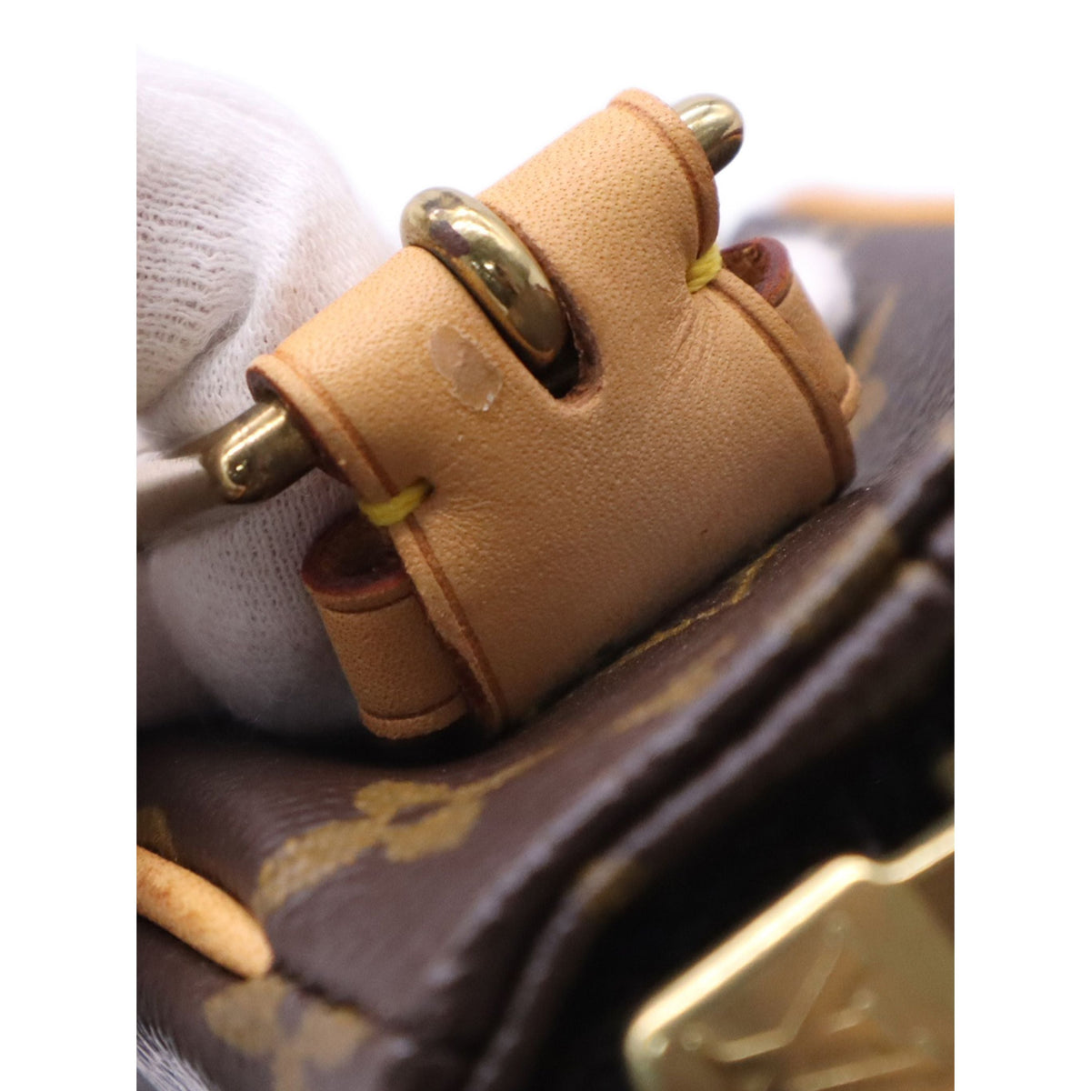 Louis Vuitton Monogram Viva Cite MM — Brown