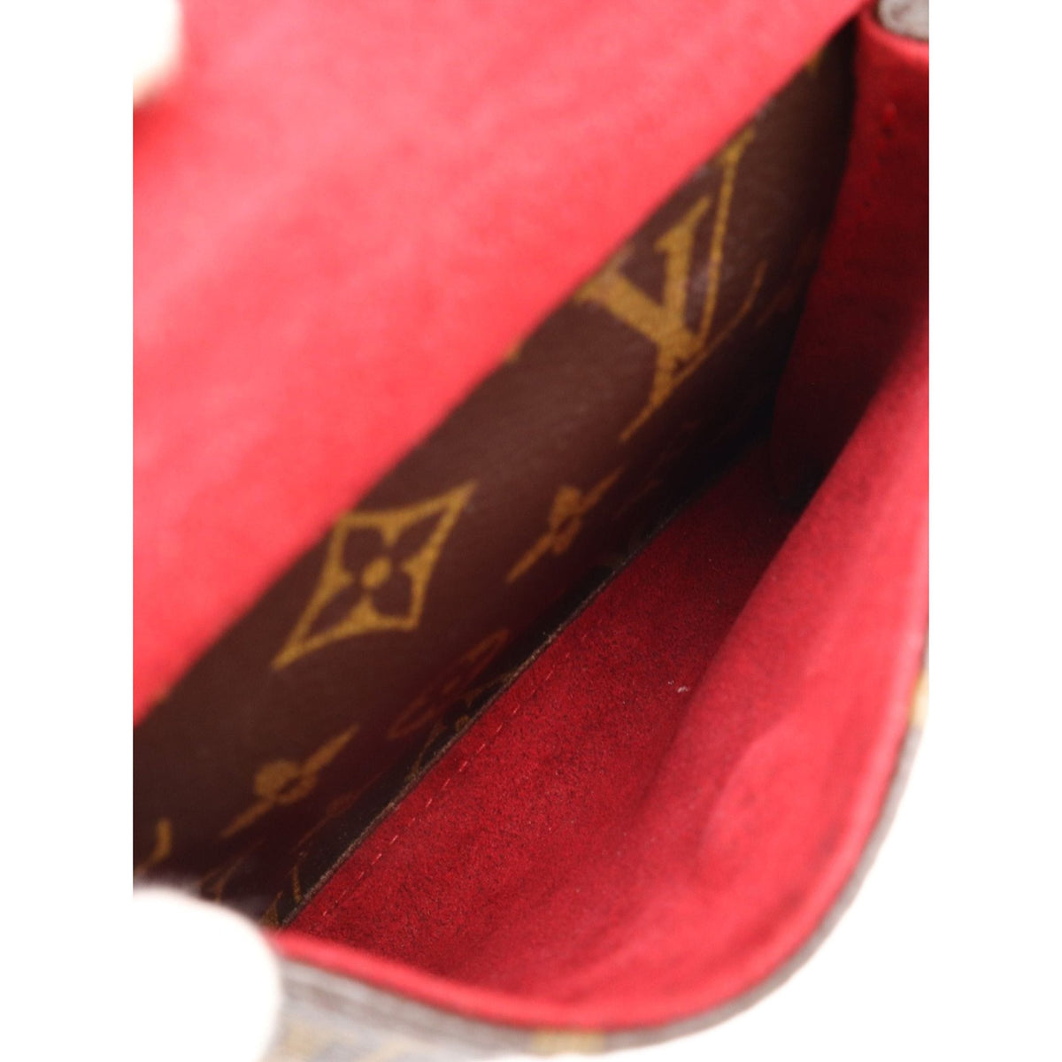 Louis Vuitton Monogram Viva Cite MM — Brown