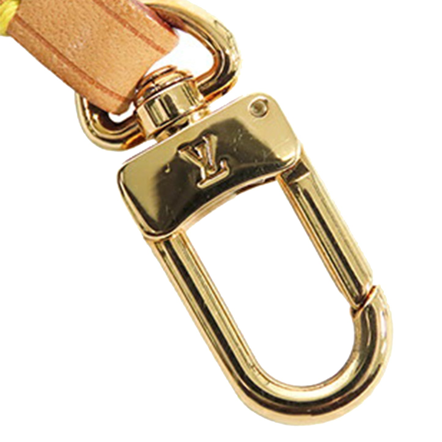 Louis Vuitton Monogram Pochette Accessoires