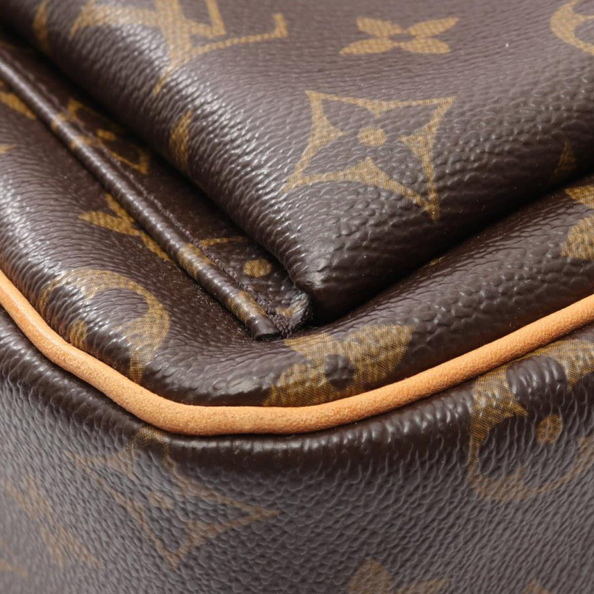 Louis Vuitton Monogram Viva Cite GM