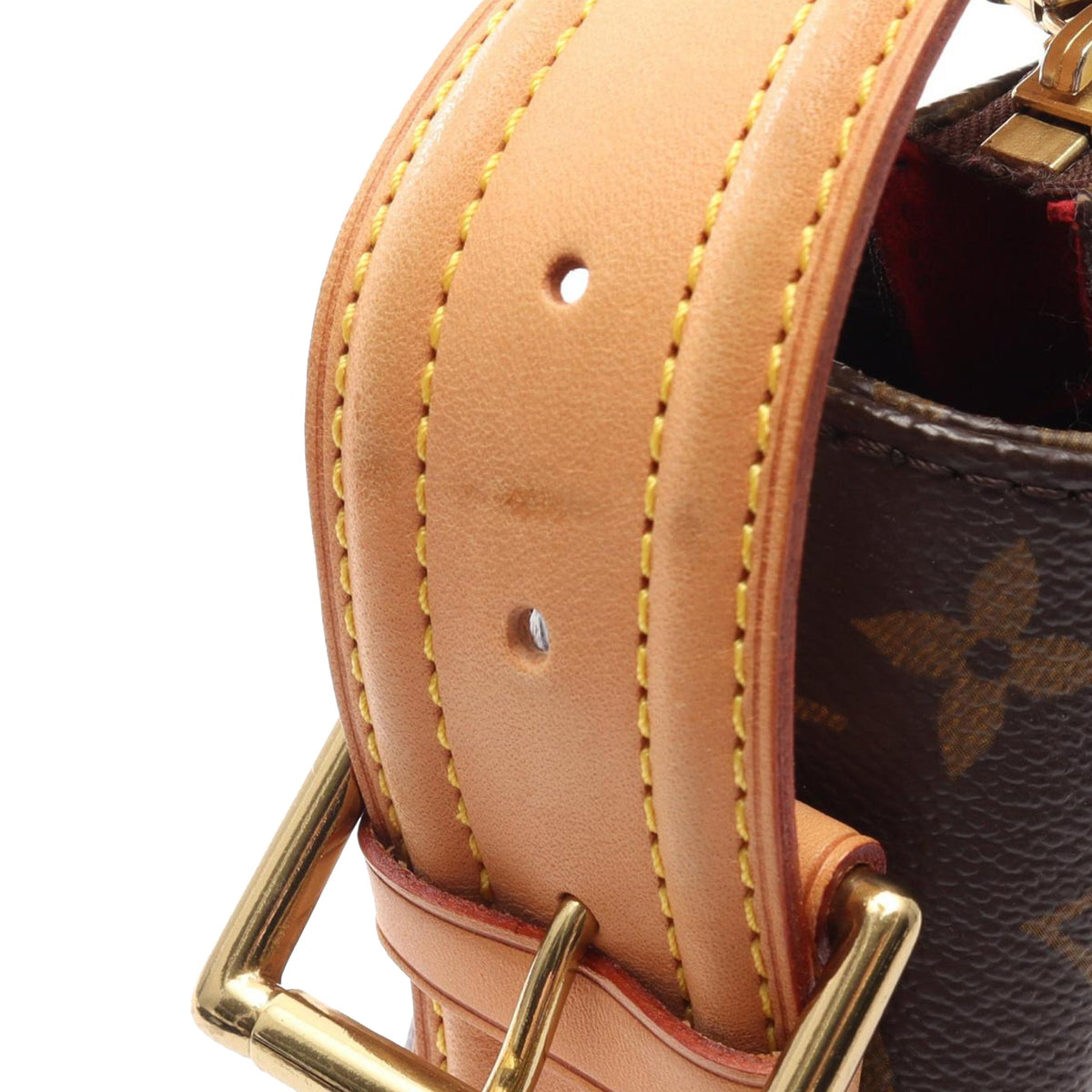 Louis Vuitton Monogram Viva Cite GM
