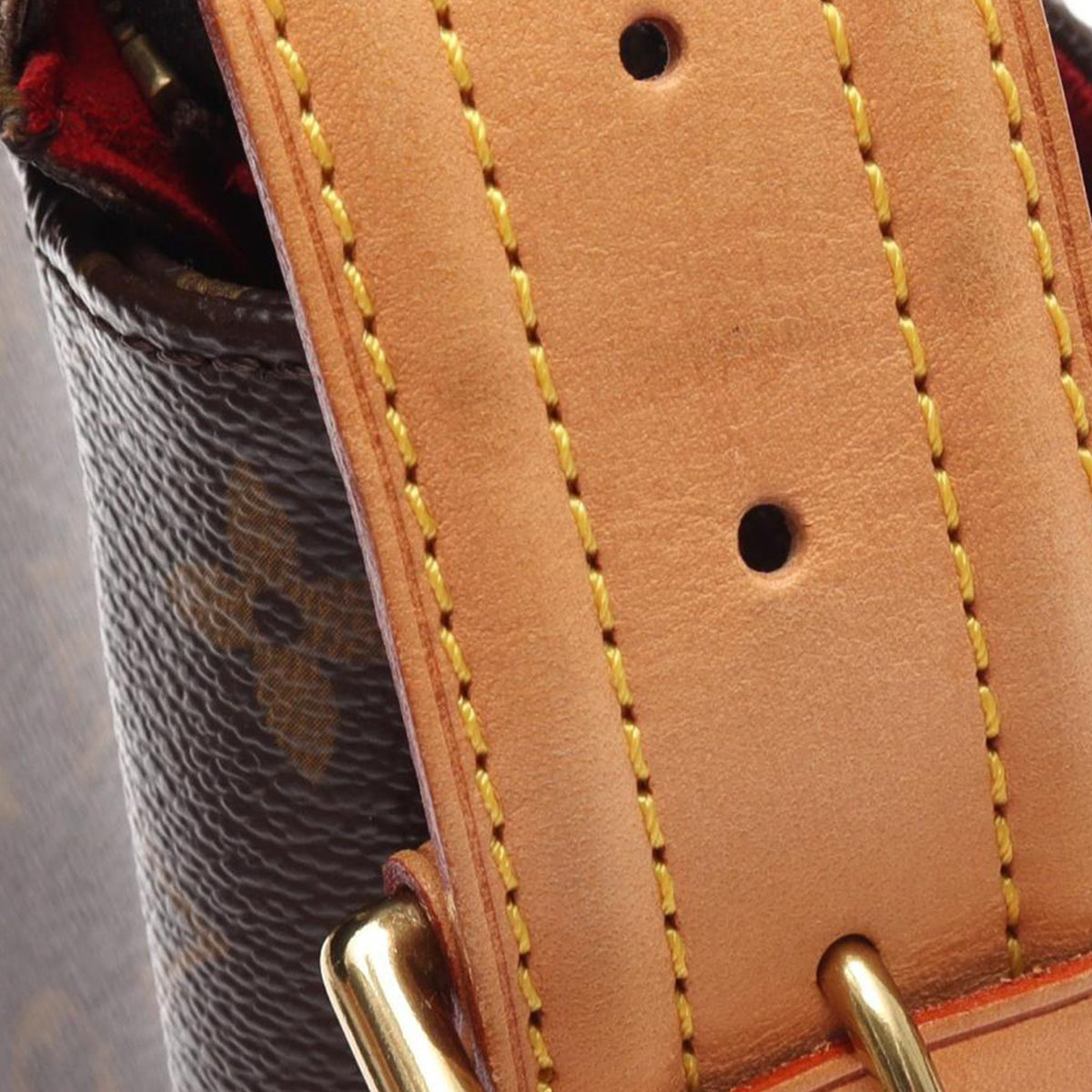 Louis Vuitton Monogram Viva Cite GM