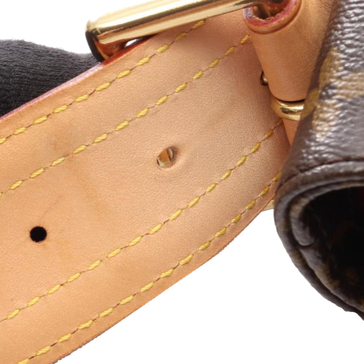 Louis Vuitton Monogram Viva Cite GM