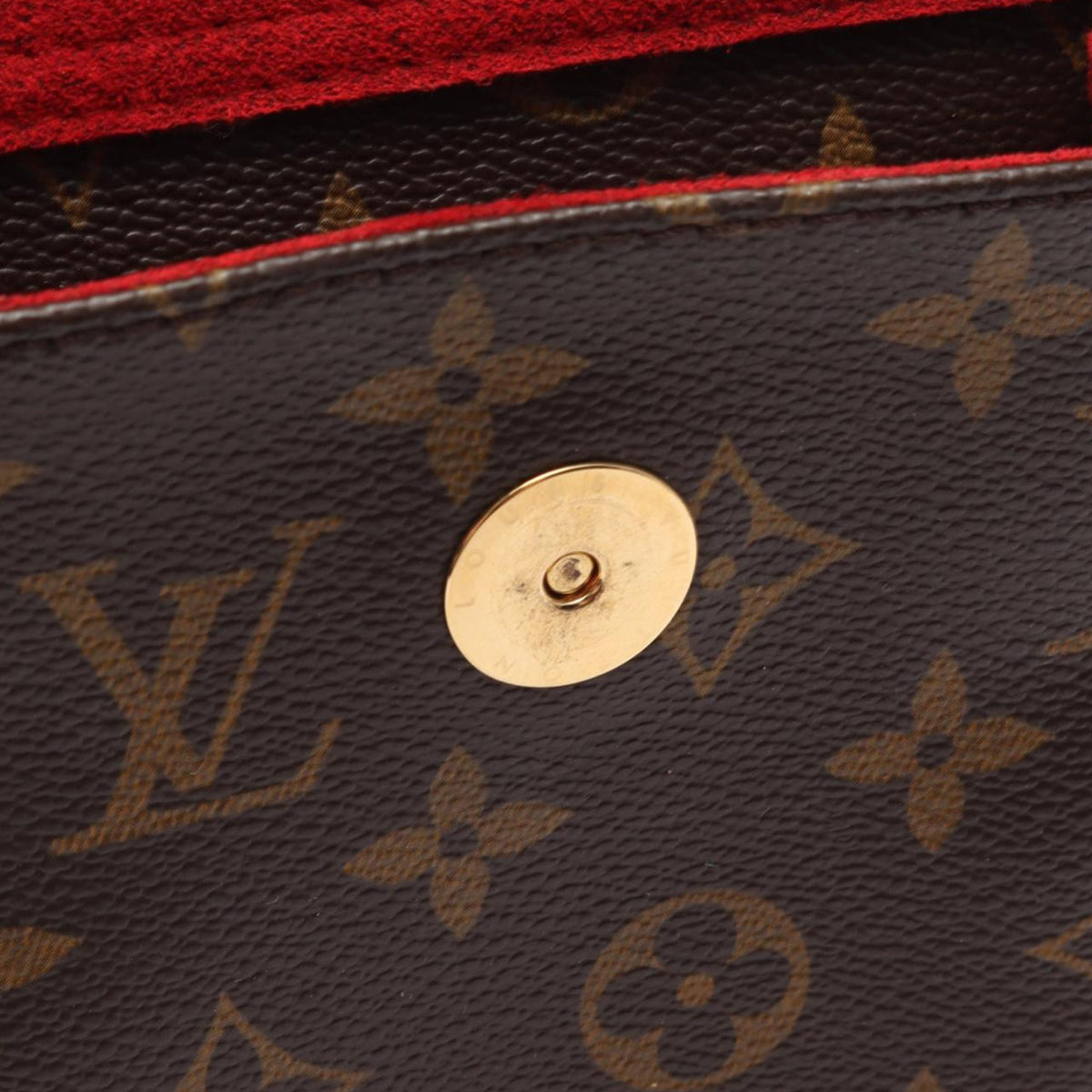 Louis Vuitton Monogram Viva Cite GM