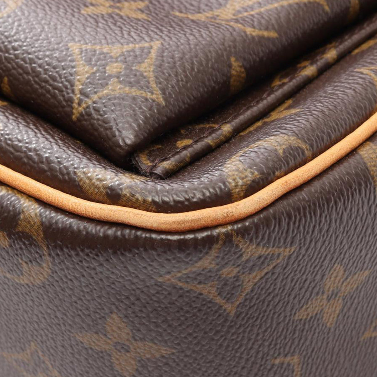 Louis Vuitton Monogram Viva Cite GM
