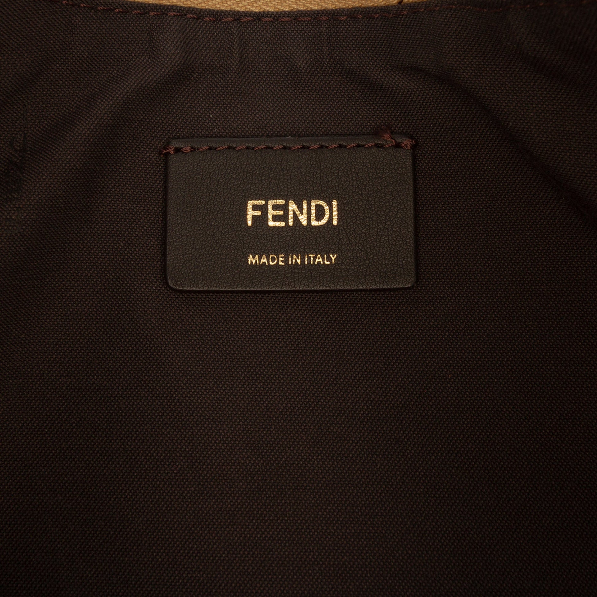 Fendi Small Metallic Leather Fendigraphy Hobo