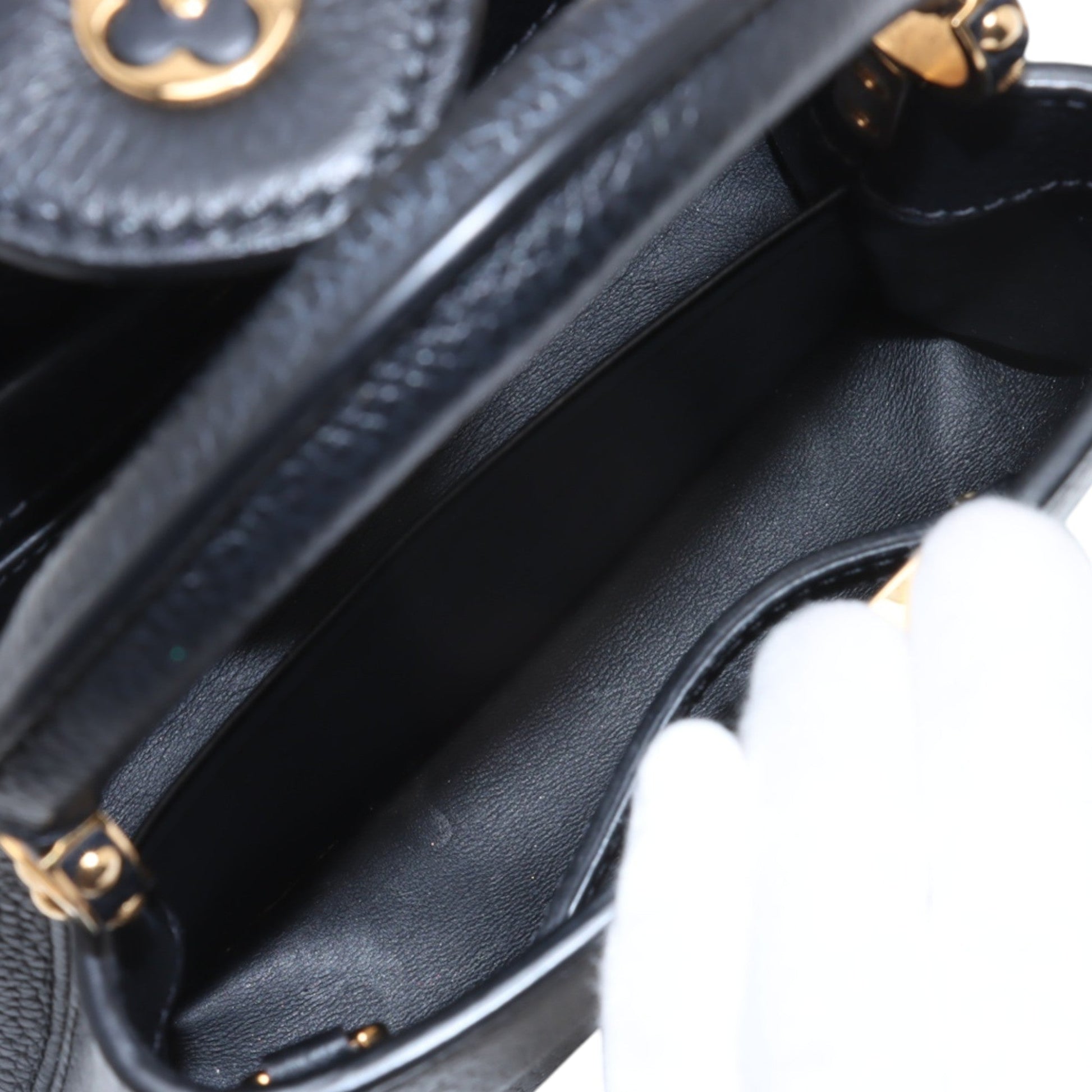 Louis Vuitton Taurillon Mini Capucines
