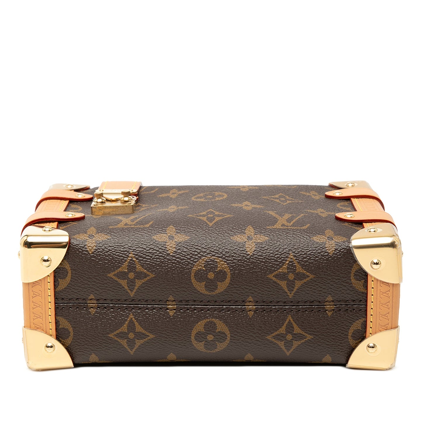 Louis Vuitton Monogram Side Trunk PM
