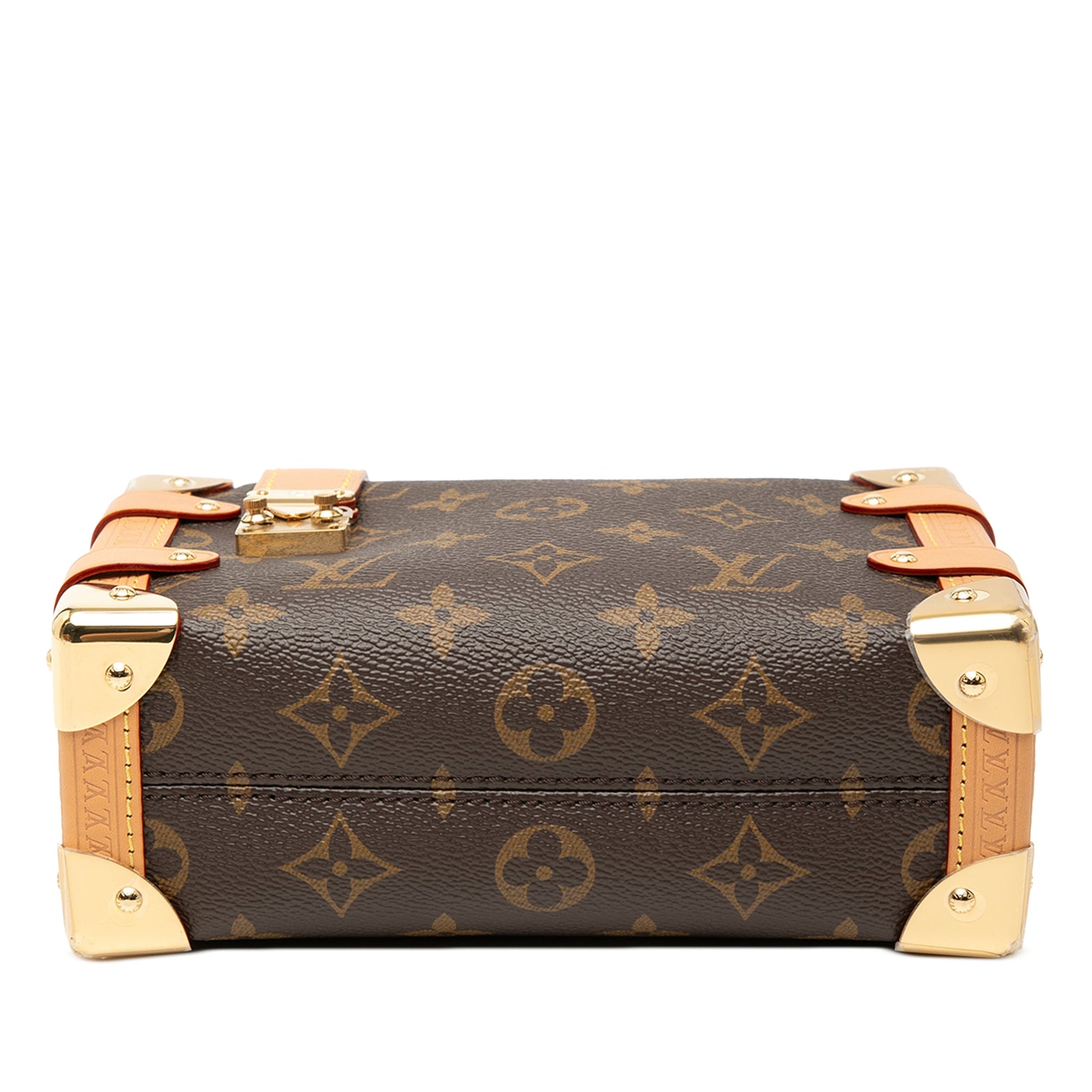 Louis Vuitton Monogram Side Trunk PM