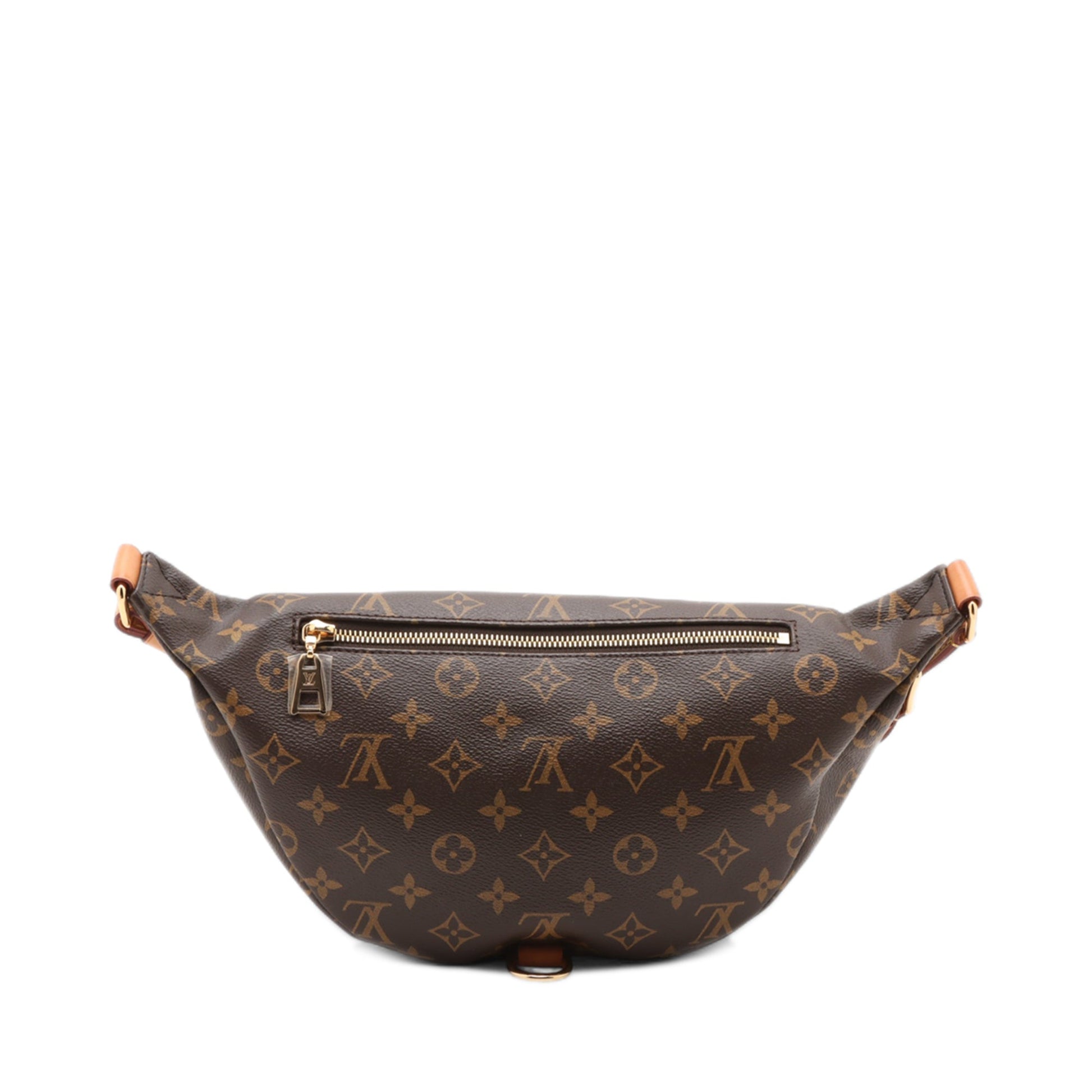 Louis Vuitton Monogram Bumbag
