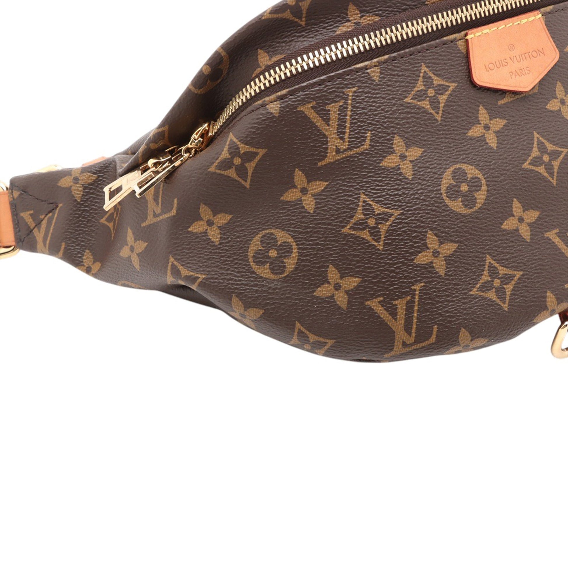 Louis Vuitton Monogram Bumbag