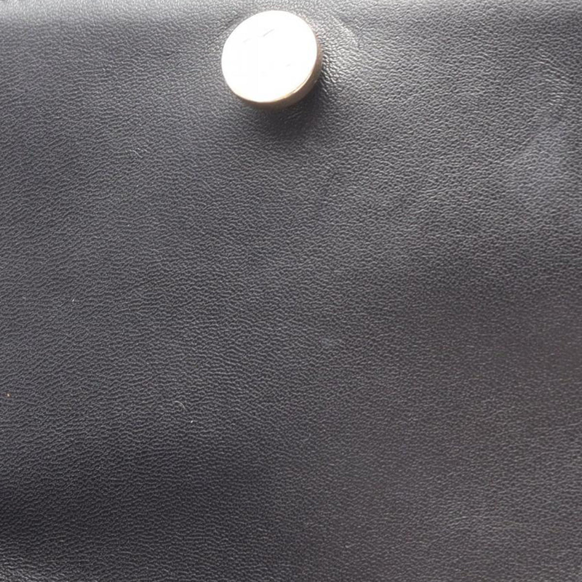 Chanel Lambskin CC Mania Backpack