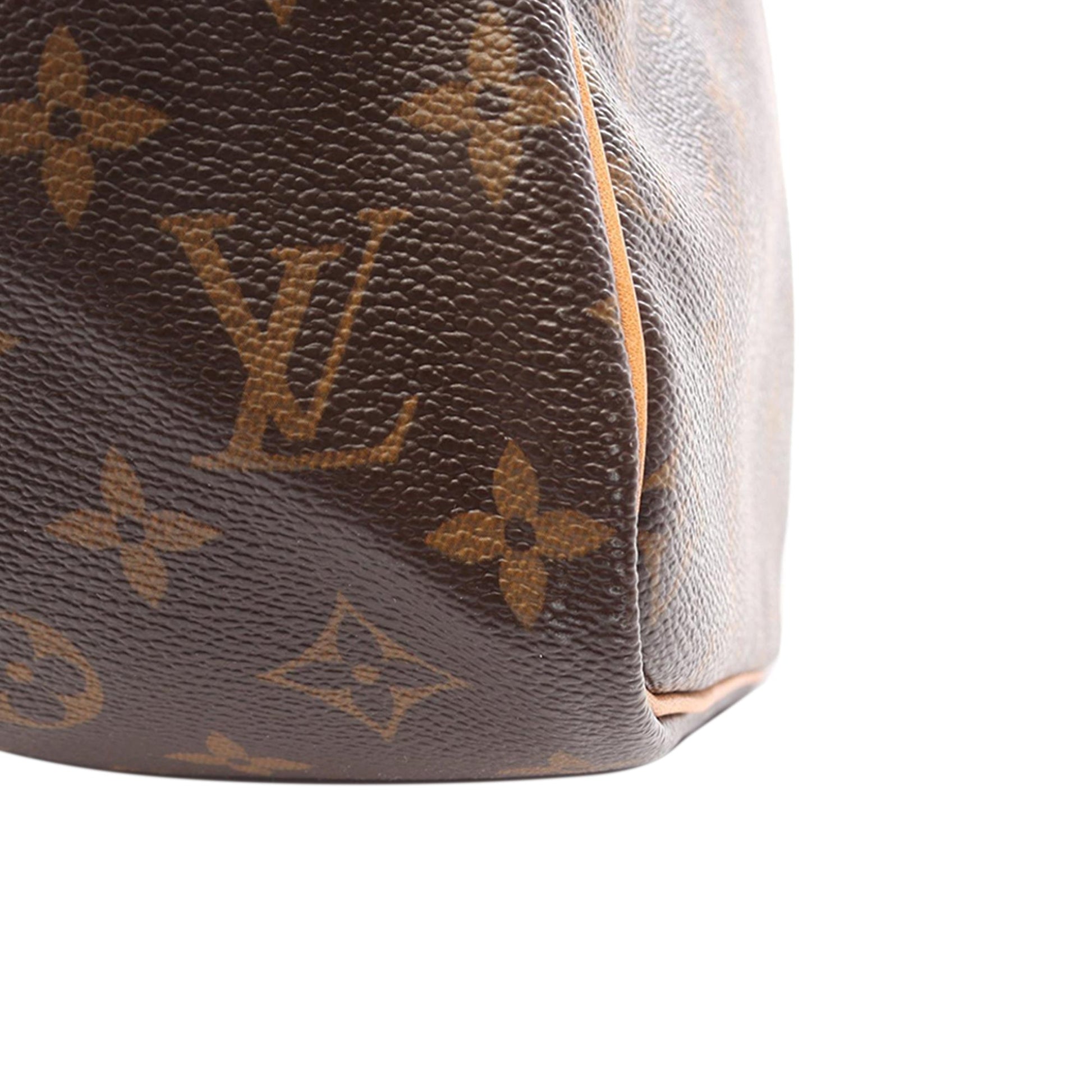 Louis Vuitton Monogram Speedy 30