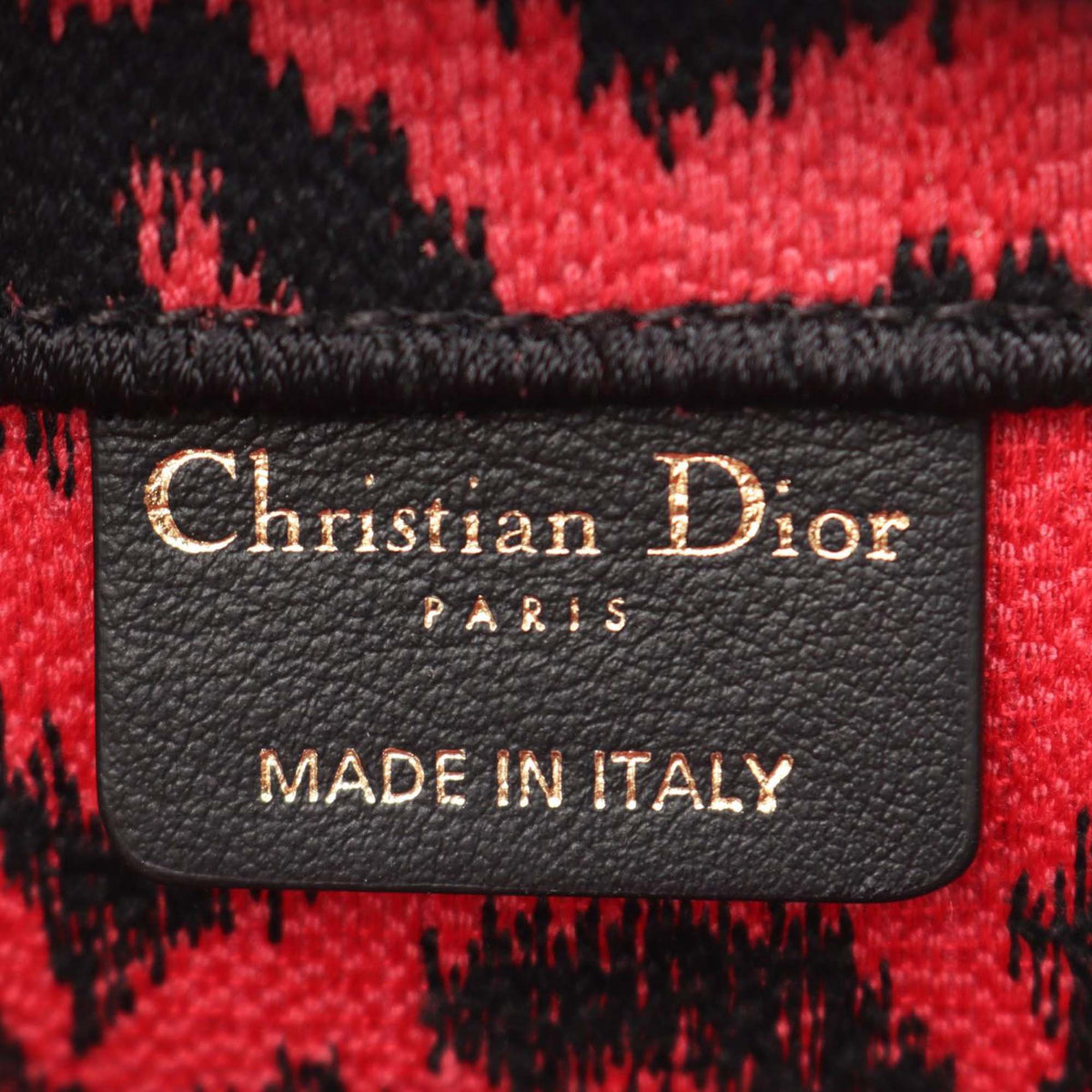 Dior Mizza Medium Embroidered Canvas Leopard Book Tote