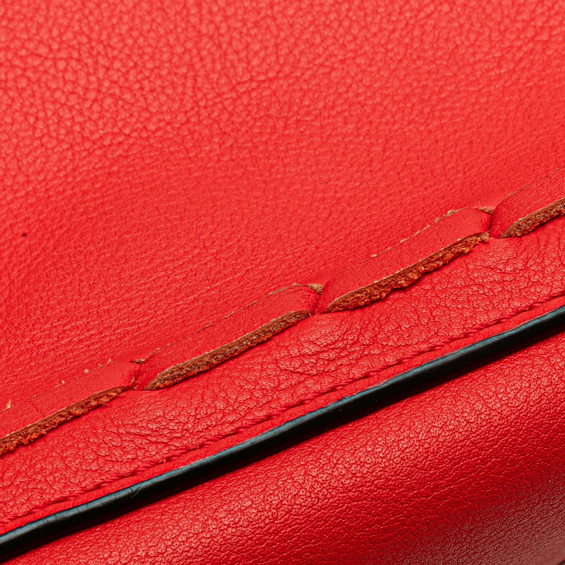 LOEWE Leather Flamenco Knot Whipstitch Crossbody
