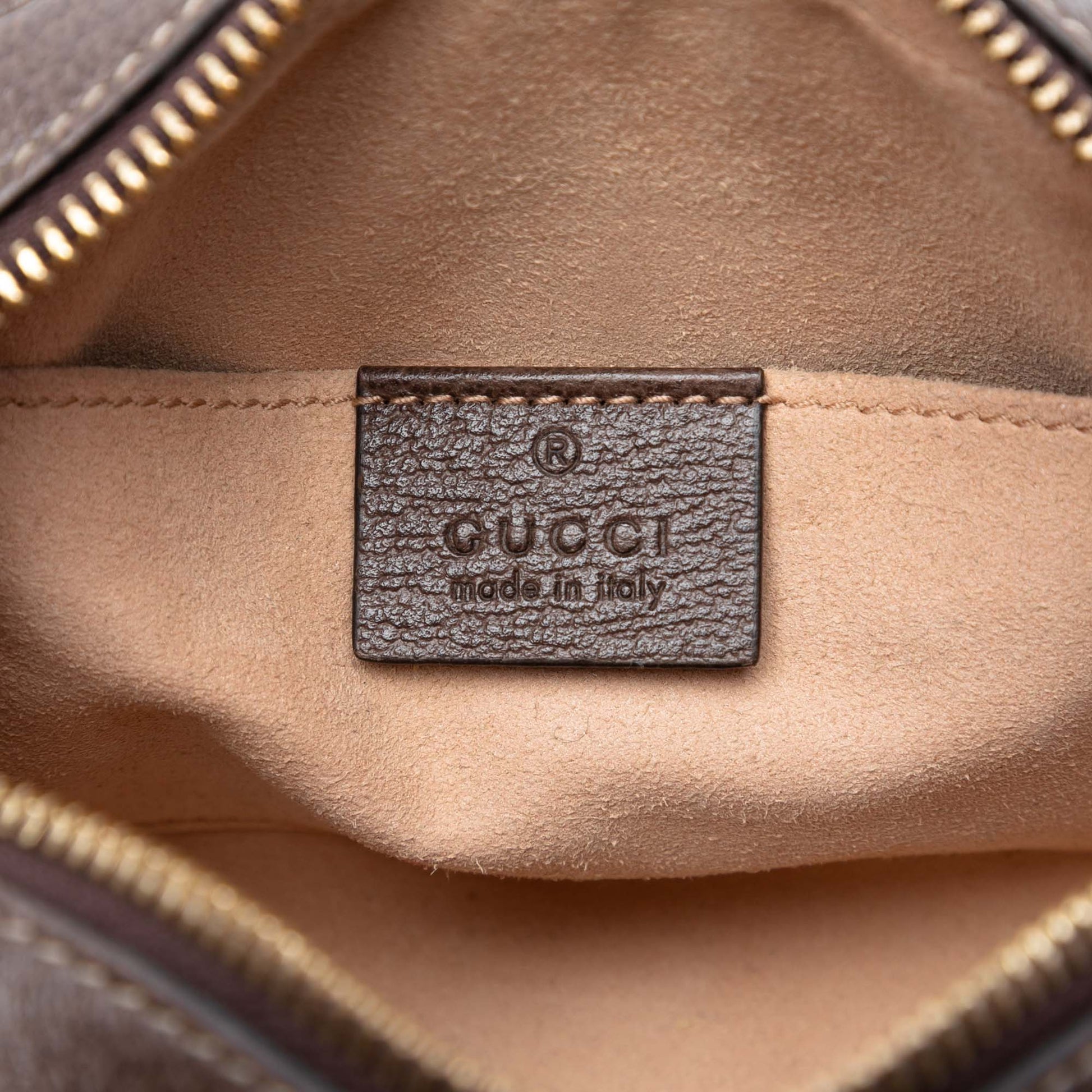 Mini GG Supreme Web Ophidia Crossbody
