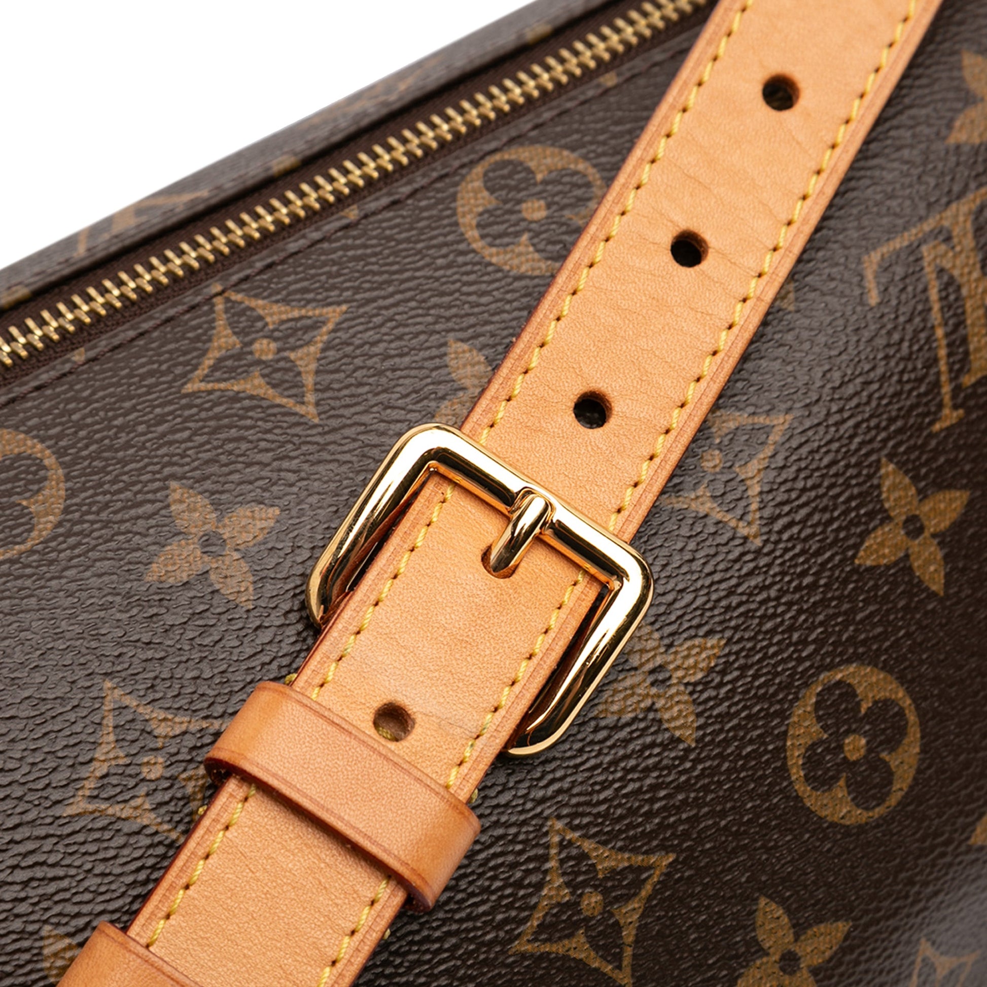 Louis Vuitton Monogram Bumbag