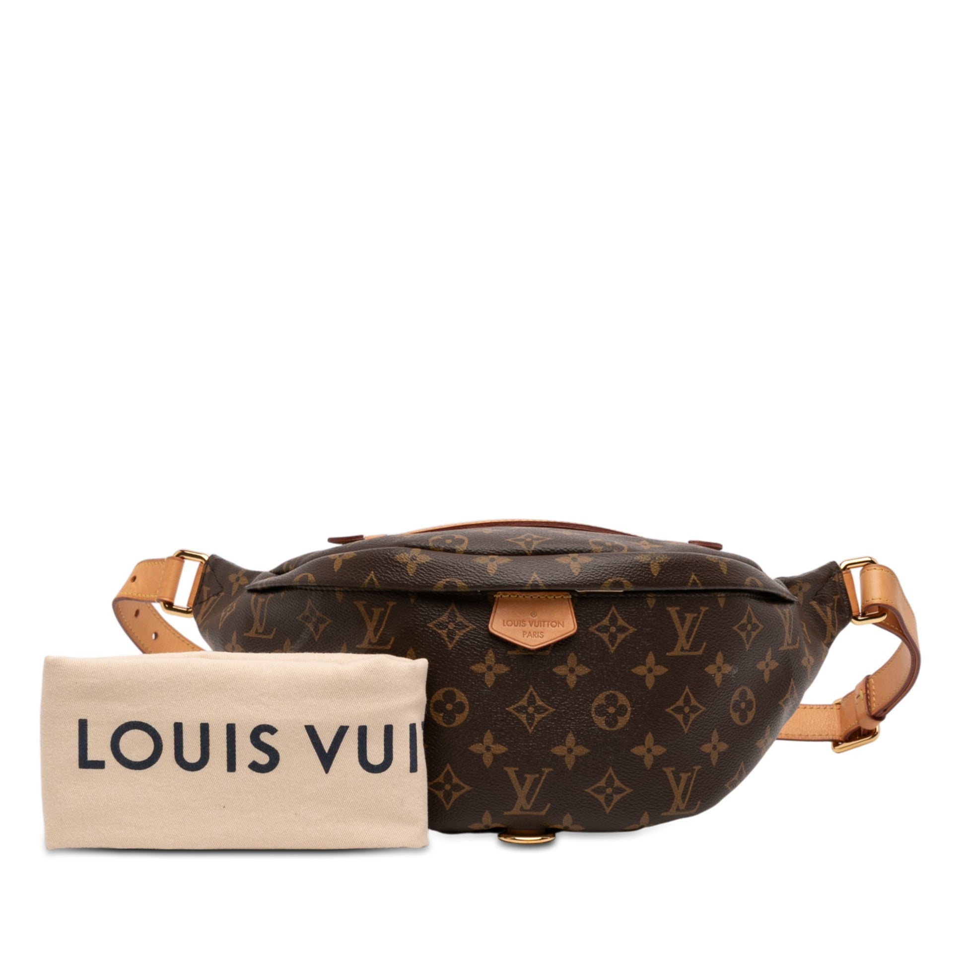 Louis Vuitton Monogram Bumbag