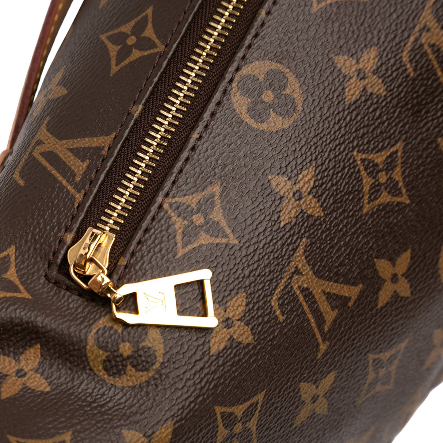 Louis Vuitton Monogram Bumbag