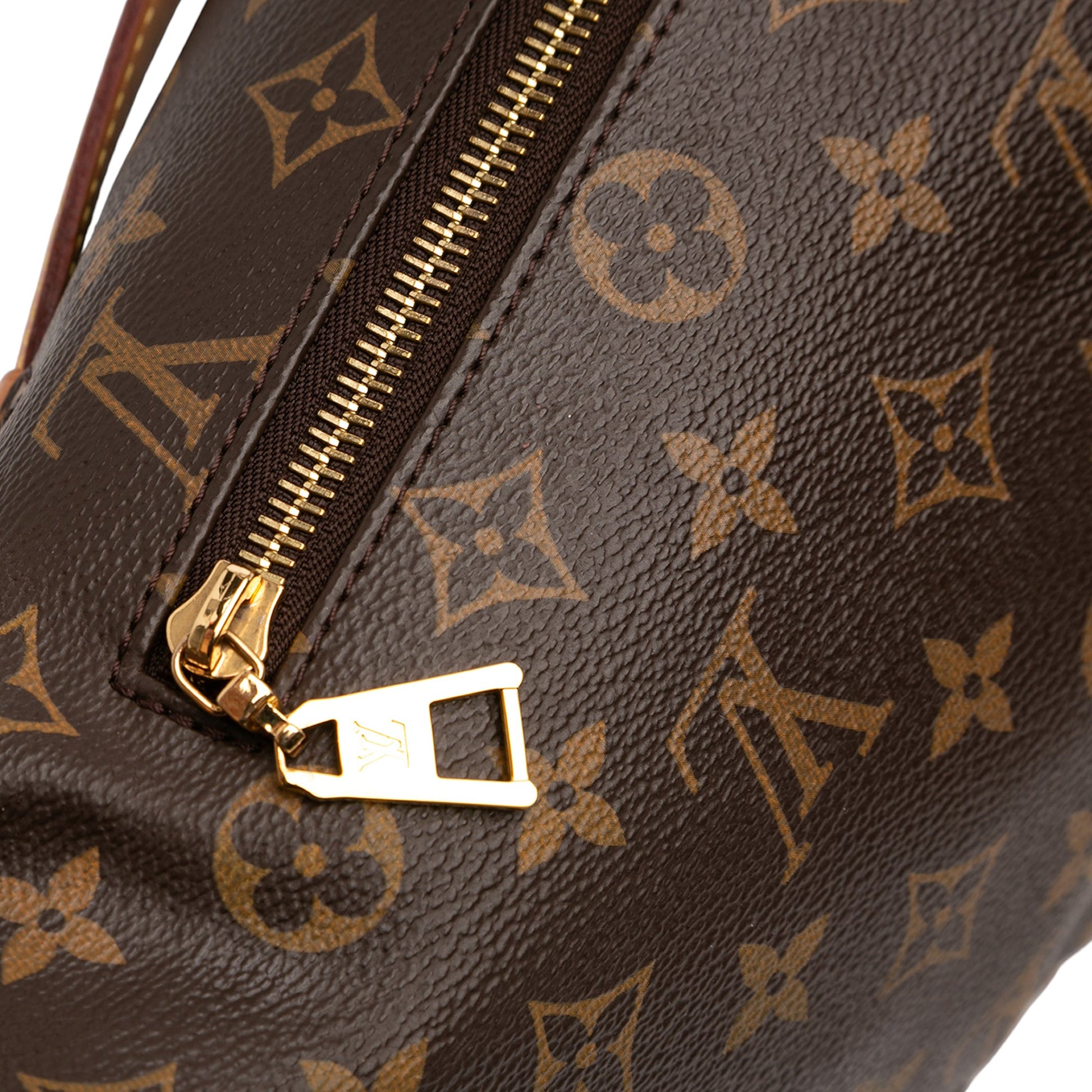 Louis Vuitton Monogram Bumbag