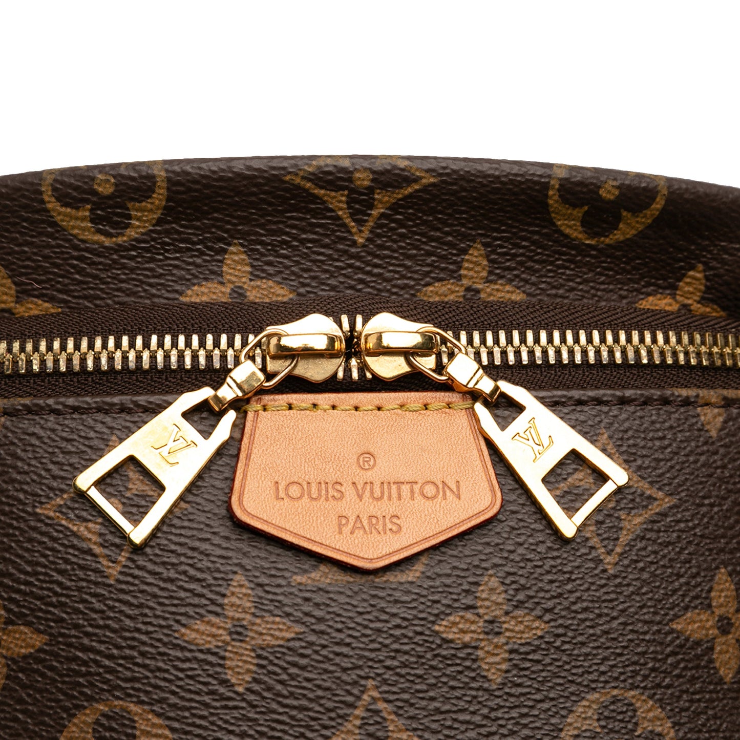 Louis Vuitton Monogram Bumbag