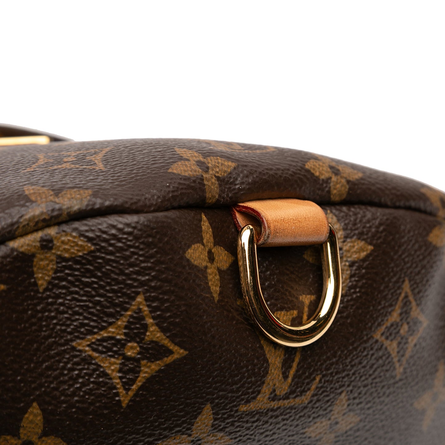 Louis Vuitton Monogram Bumbag