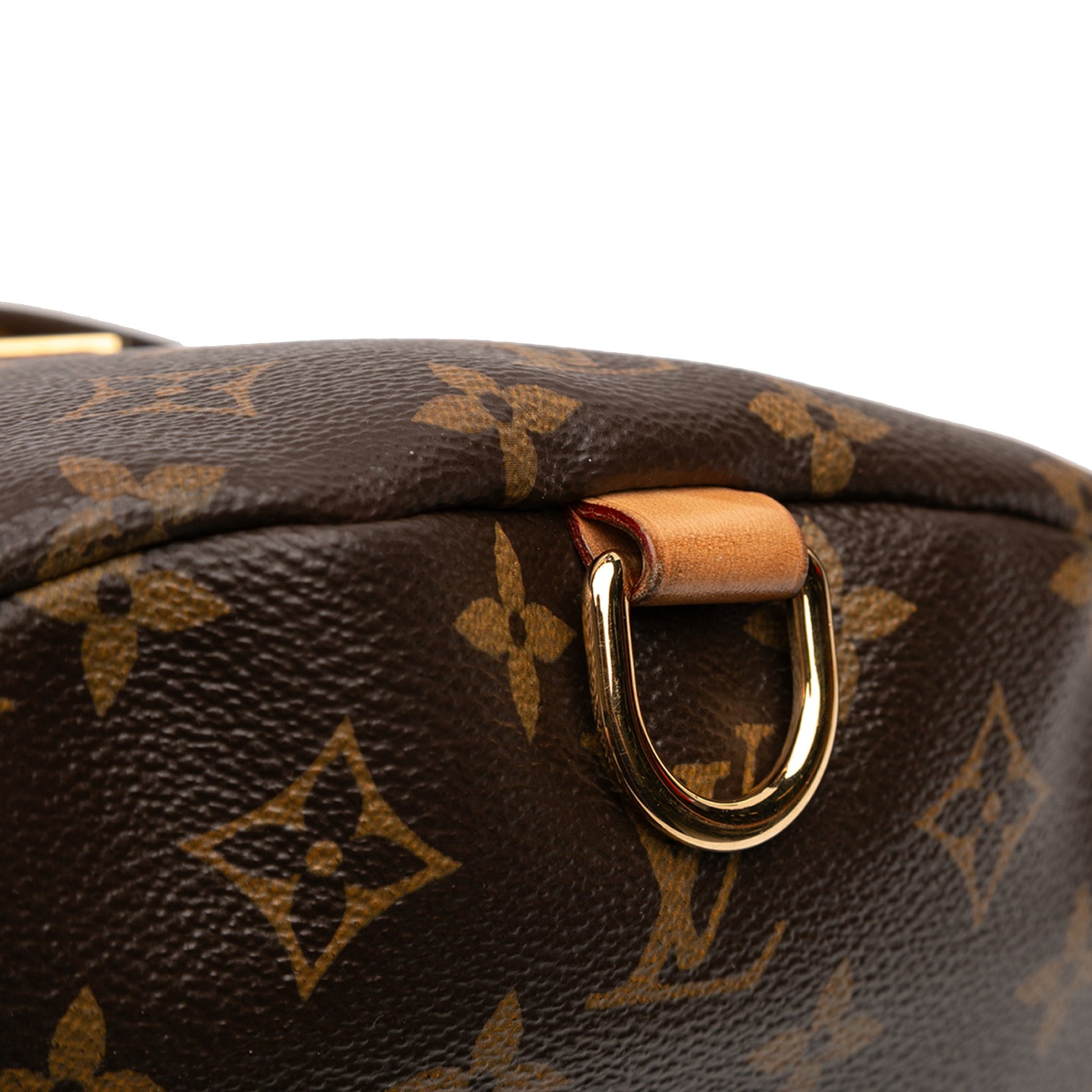 Louis Vuitton Monogram Bumbag