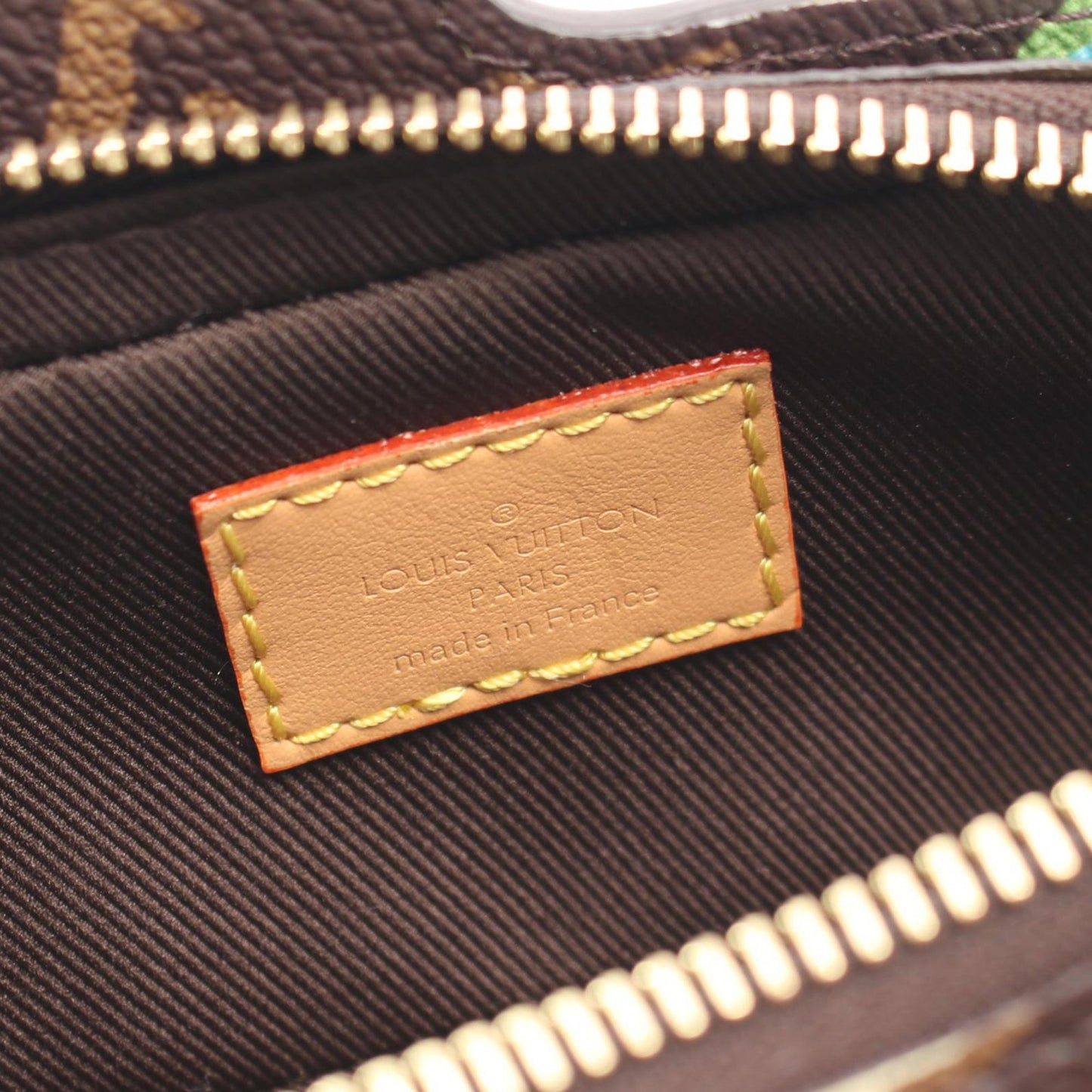 Louis Vuitton Tyler The Creator Monogram Craggy Dog On Strap Wearable Wallet