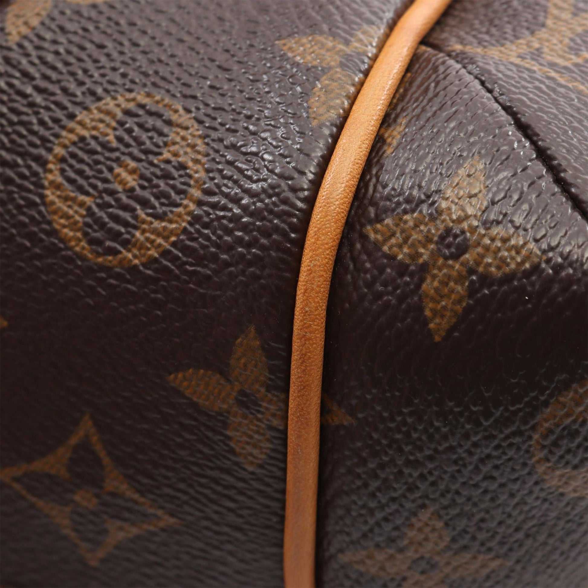 Louis Vuitton Monogram Totally PM