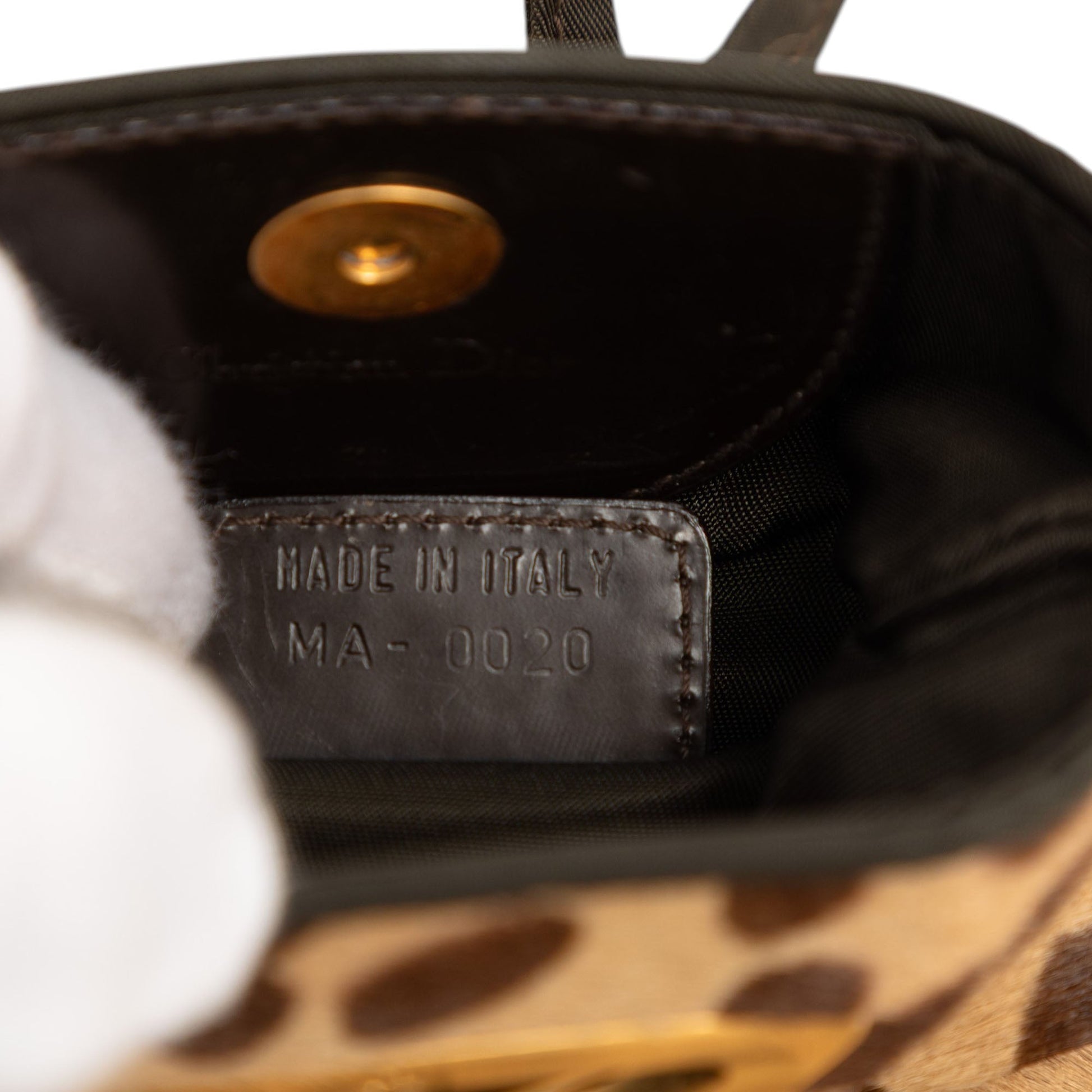 Dior Pony Hair Leopard Print Malice Crossbody