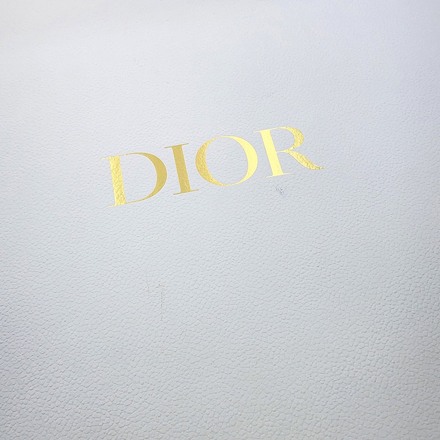 Dior Large Oblique Embroidered Canvas Book Tote