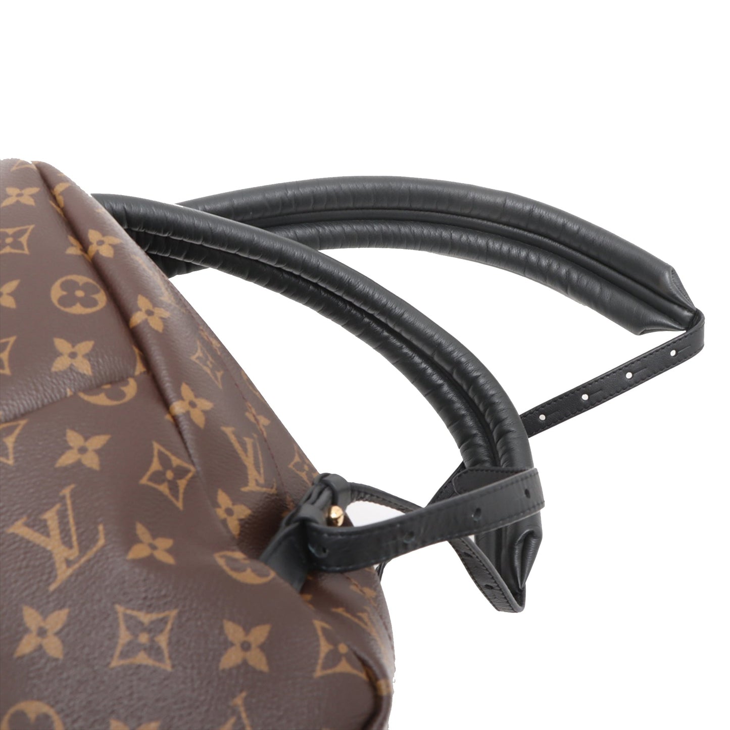 Louis Vuitton Monogram Palm Springs MM