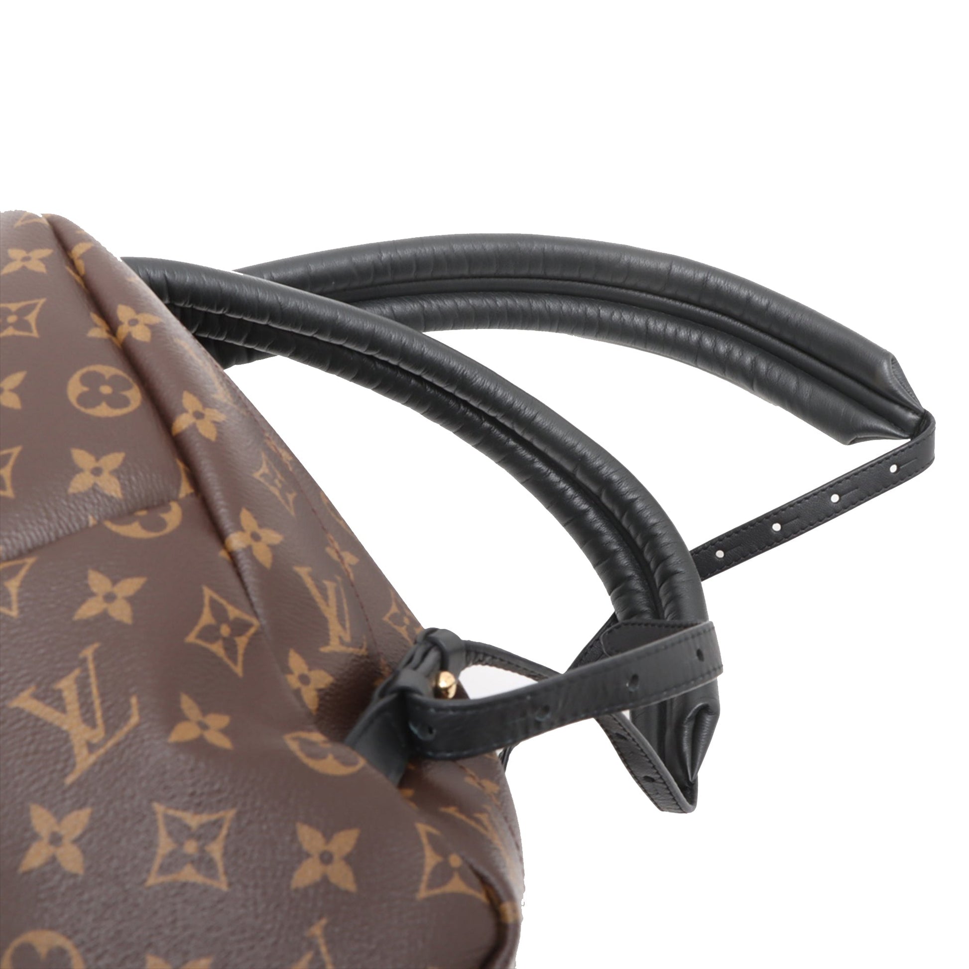 Louis Vuitton Monogram Palm Springs MM
