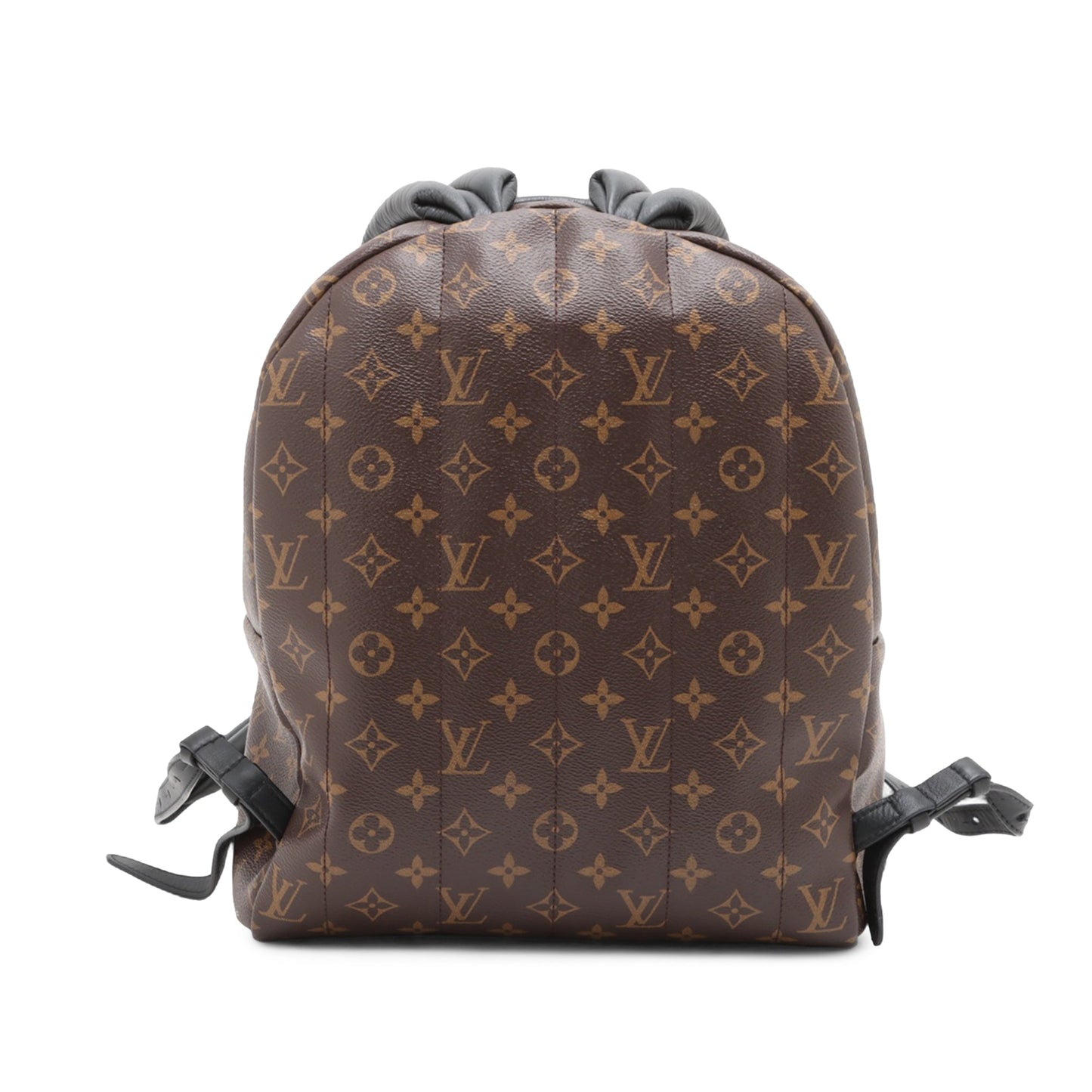 Louis Vuitton Monogram Palm Springs MM