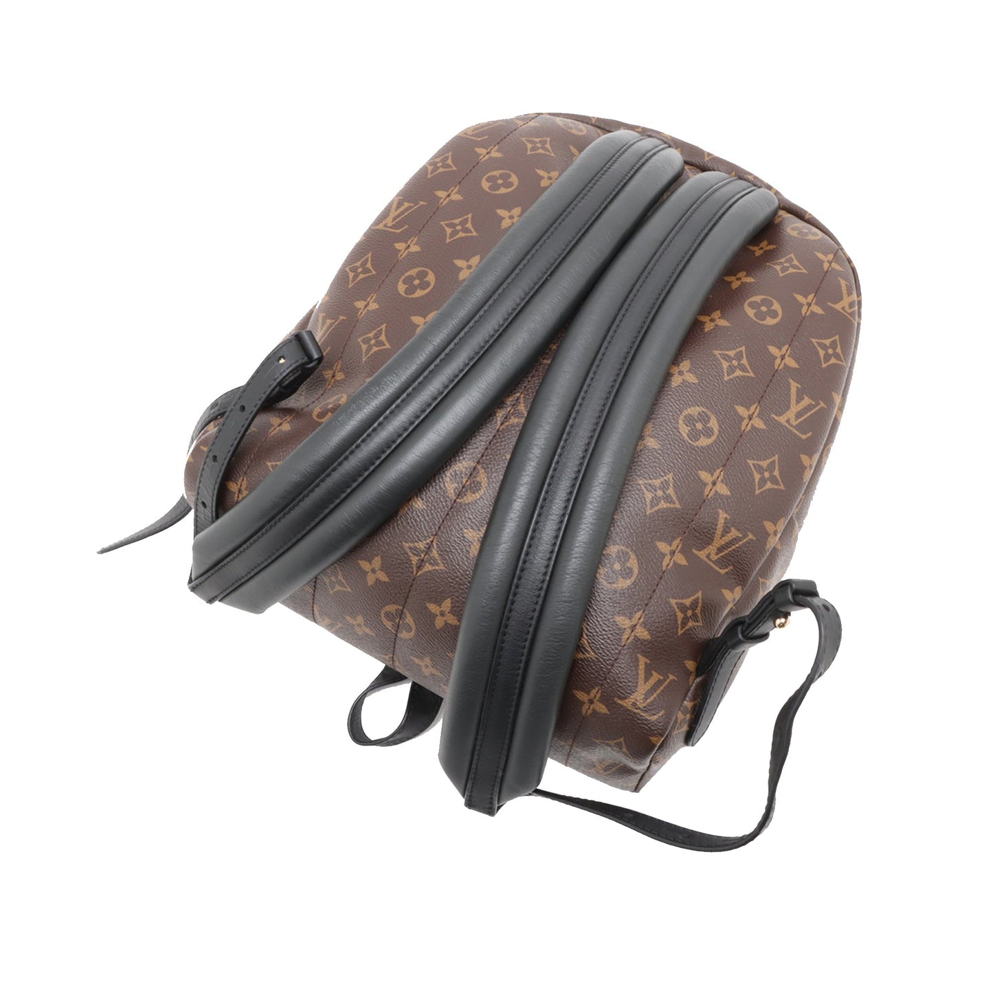Louis Vuitton Monogram Palm Springs MM