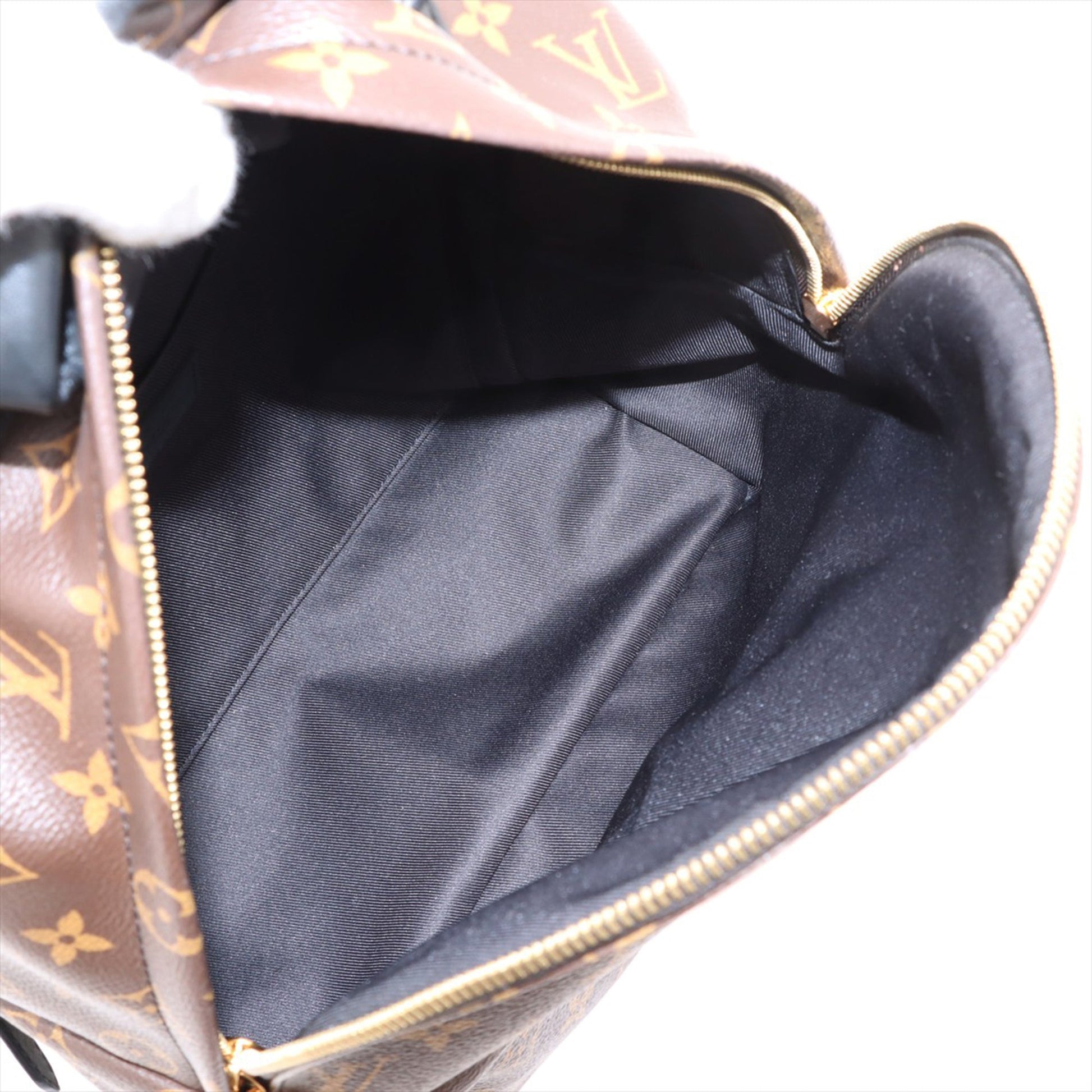 Louis Vuitton Monogram Palm Springs MM