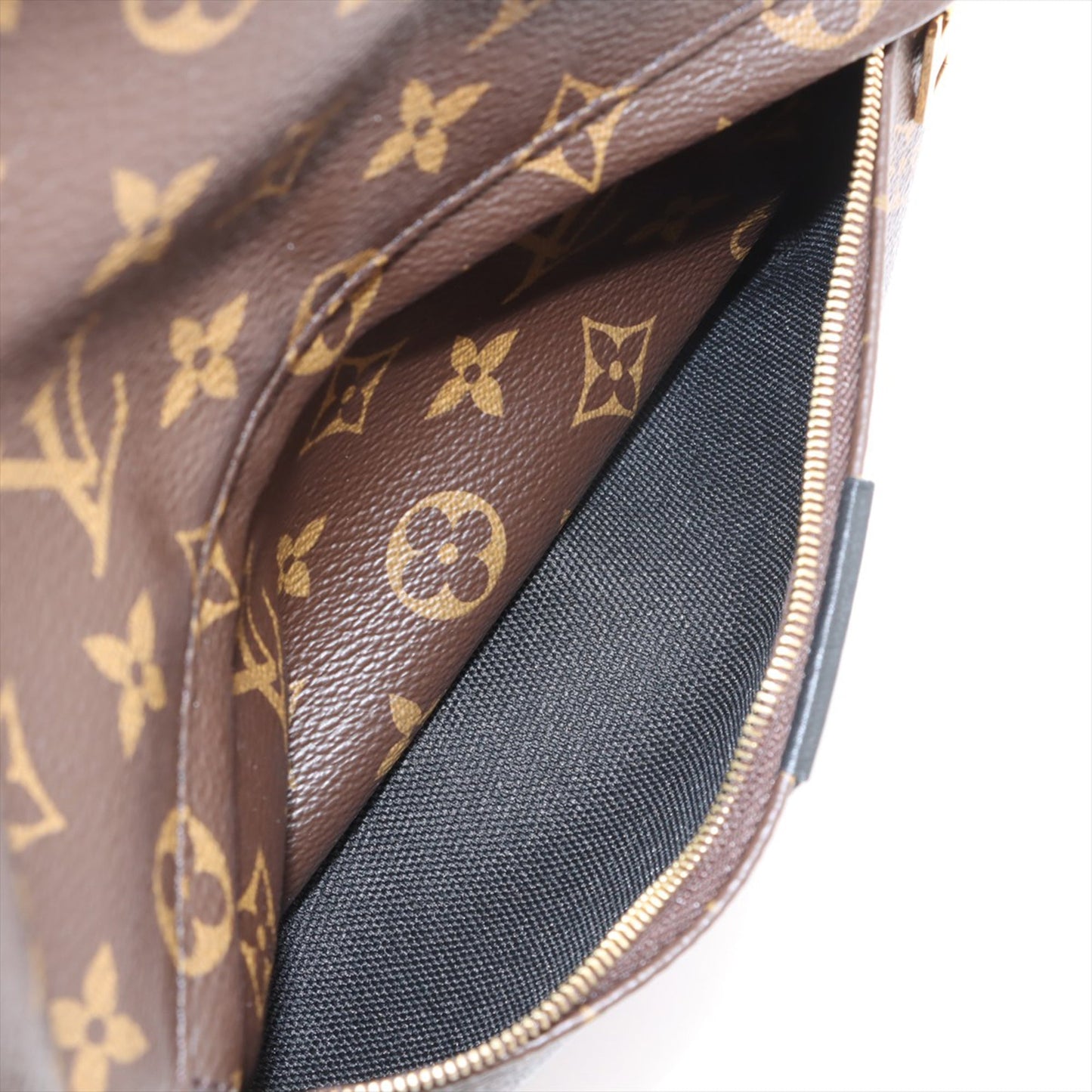 Louis Vuitton Monogram Palm Springs MM