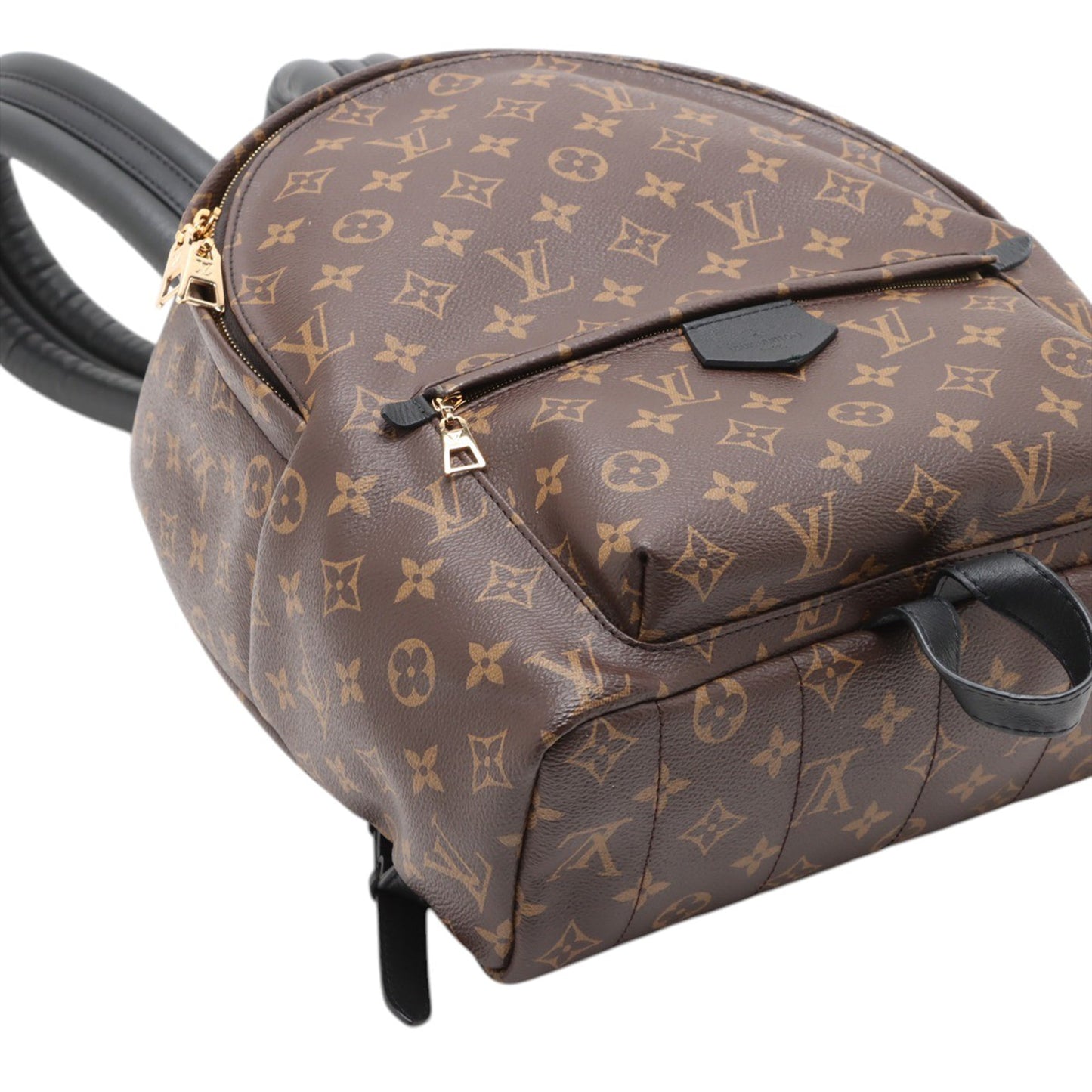 Louis Vuitton Monogram Palm Springs MM