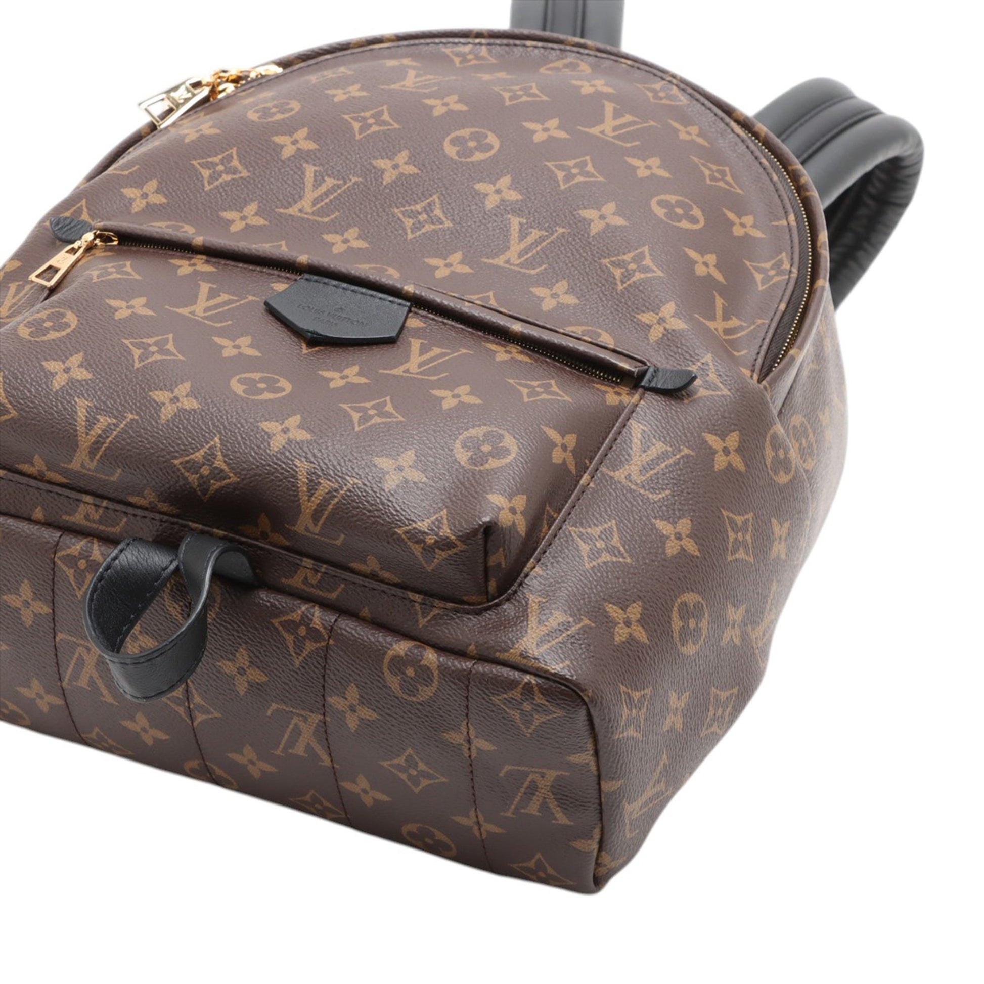Louis Vuitton Monogram Palm Springs MM