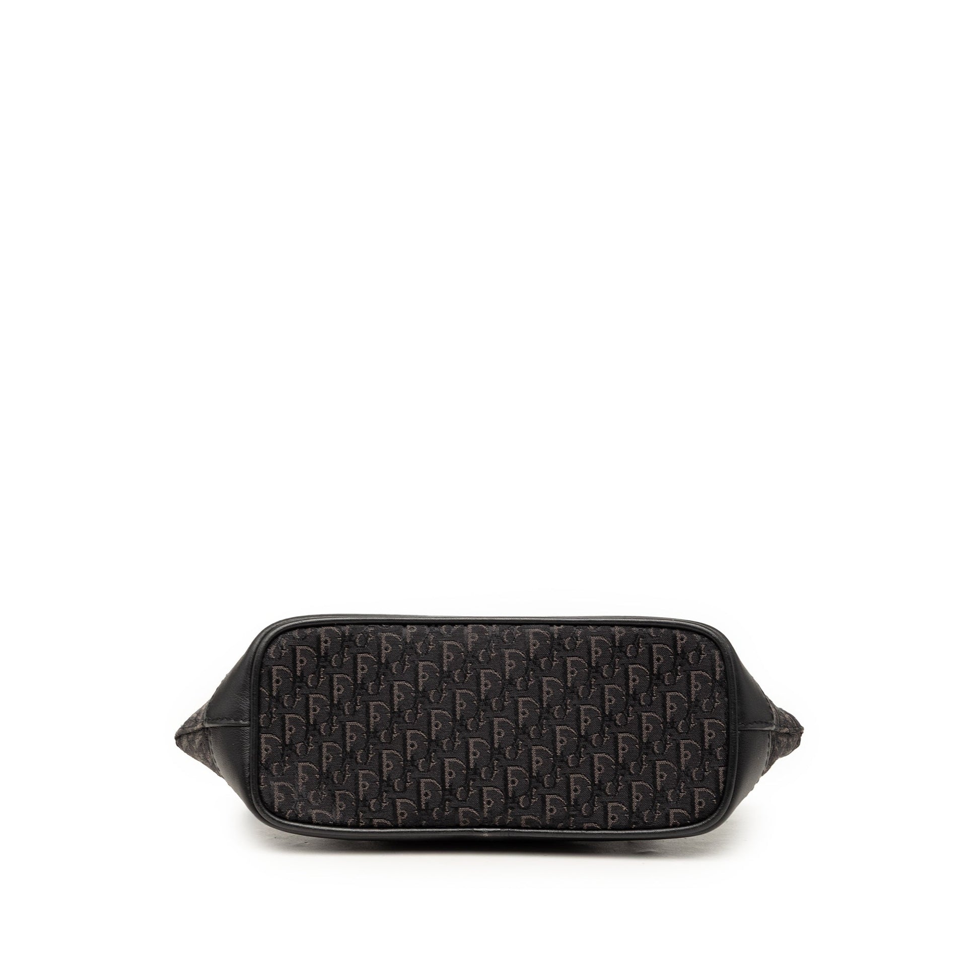 Dior Mini Diorissimo Trotter Canvas Street Chic Handbag