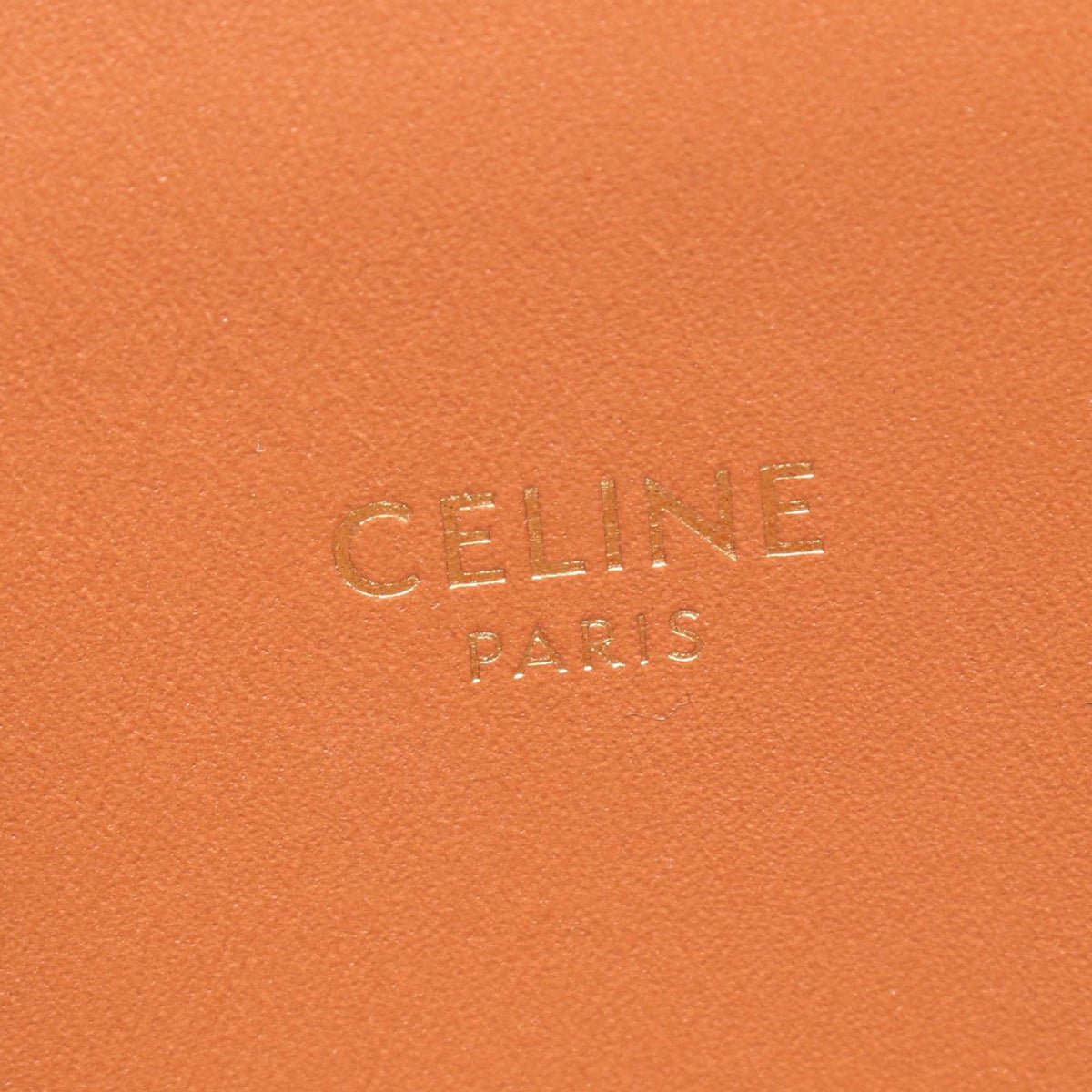 Celine Small Canvas Vertical Cabas Tote