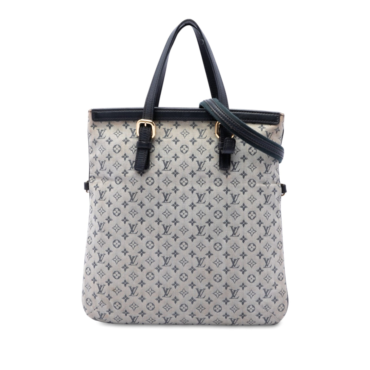 Louis Vuitton Monogram Mini Lin Francoise
