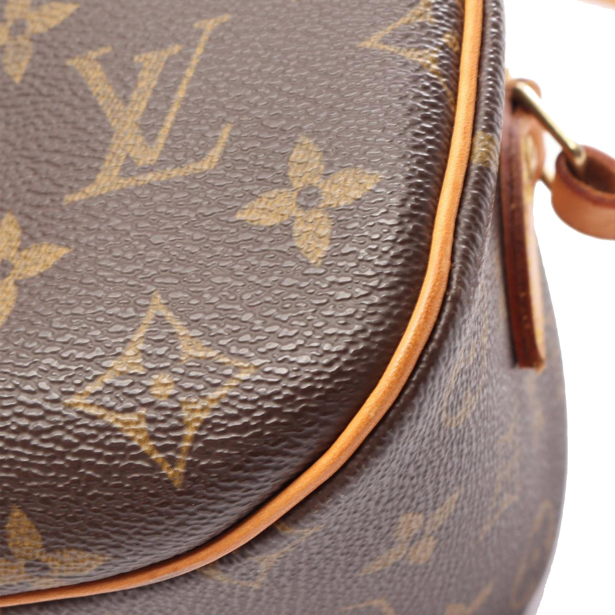 Louis Vuitton Monogram Blois