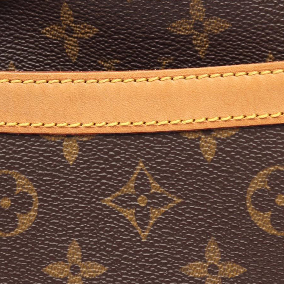 Louis Vuitton Monogram Blois