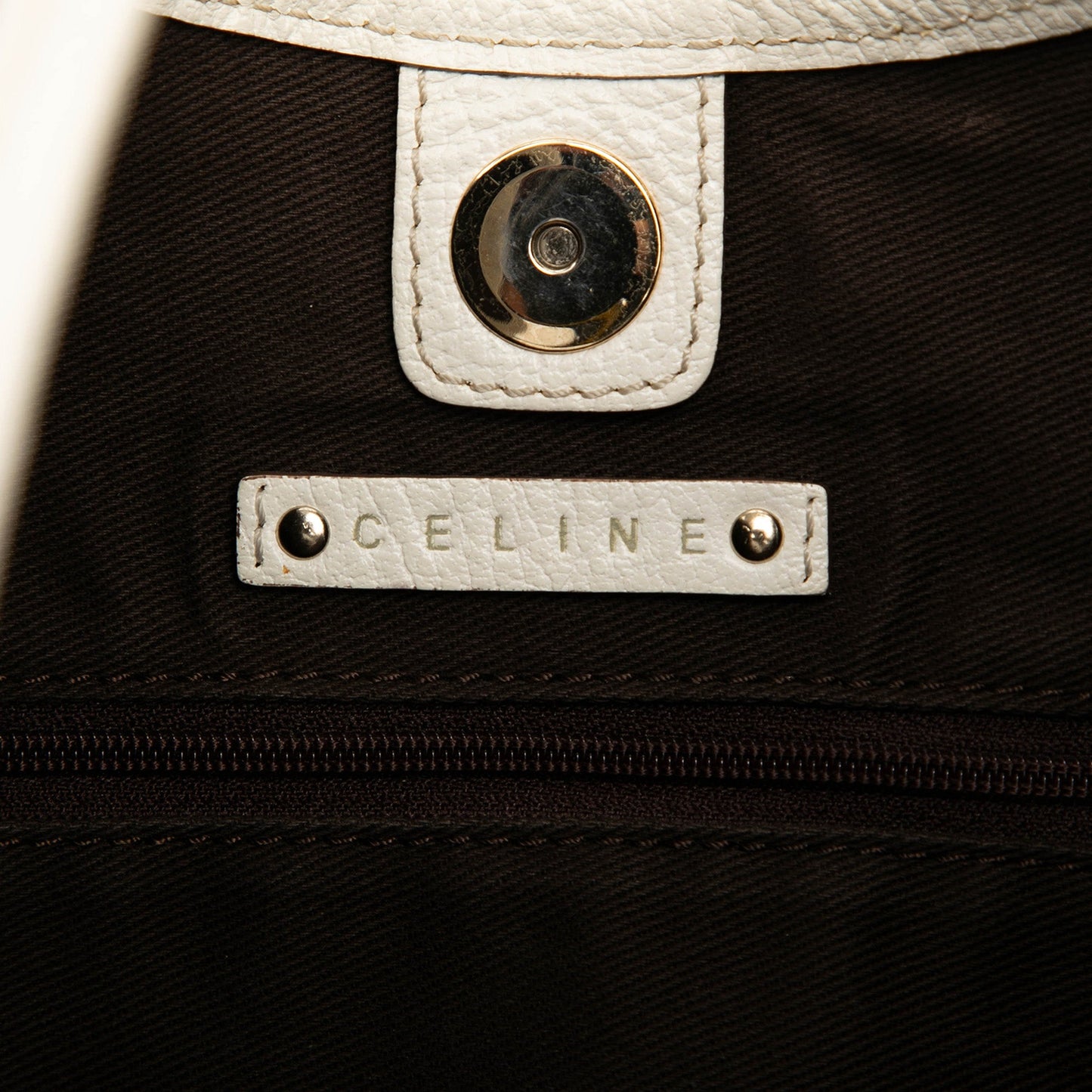 Celine Canvas Turtle Hobo